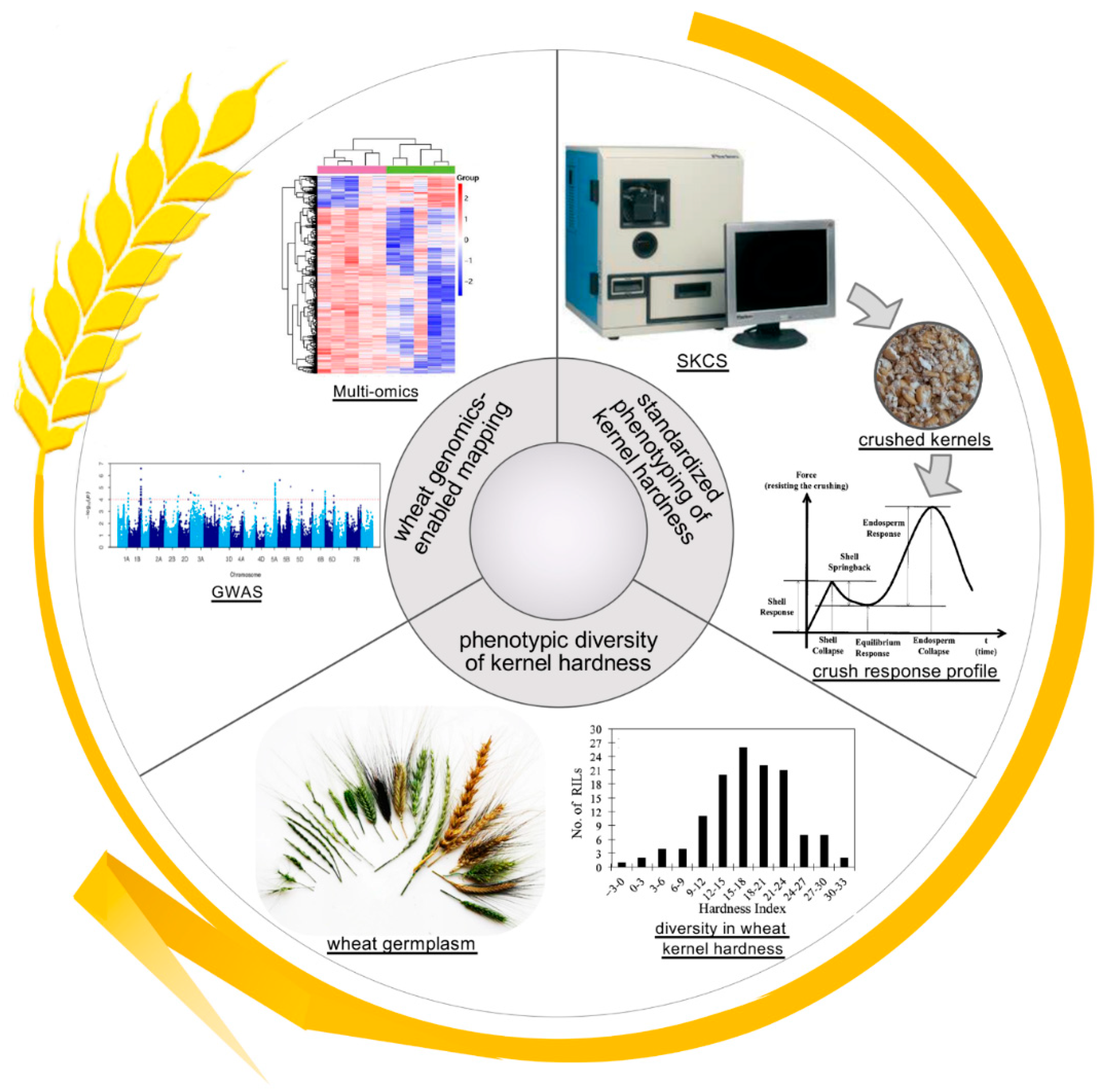 Plants 09 01631 g002