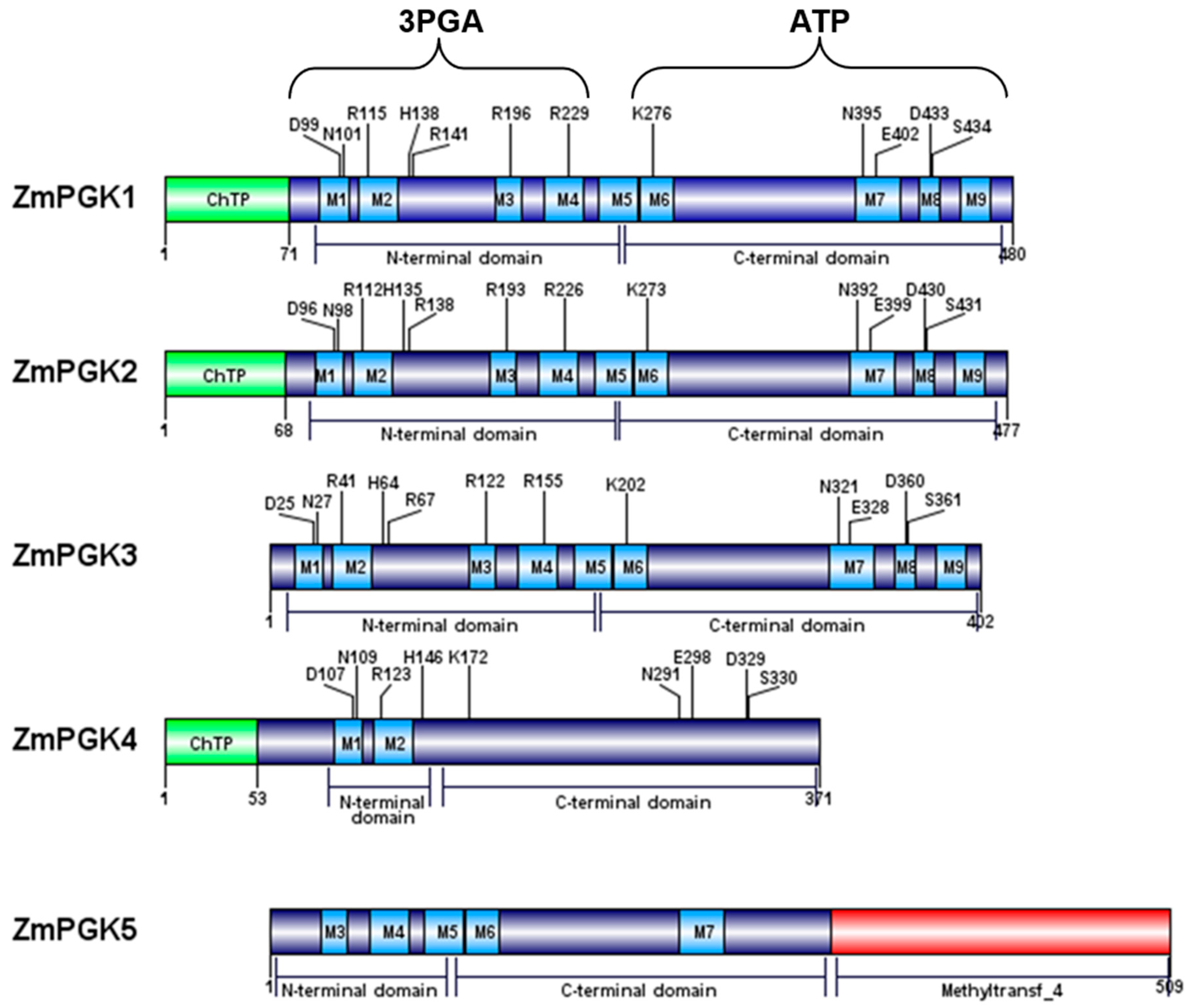 Plants 09 01639 g002