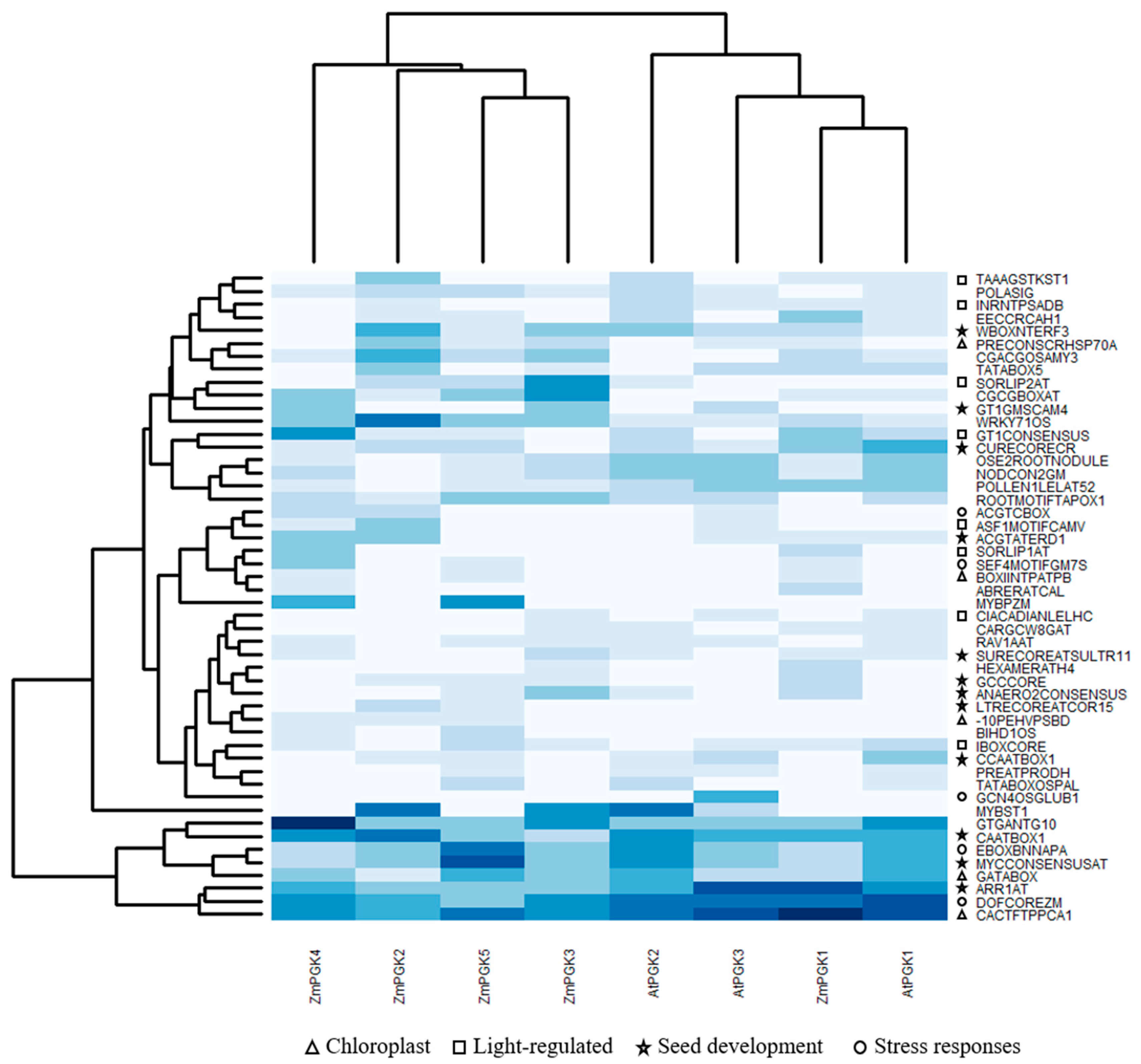 Plants 09 01639 g005