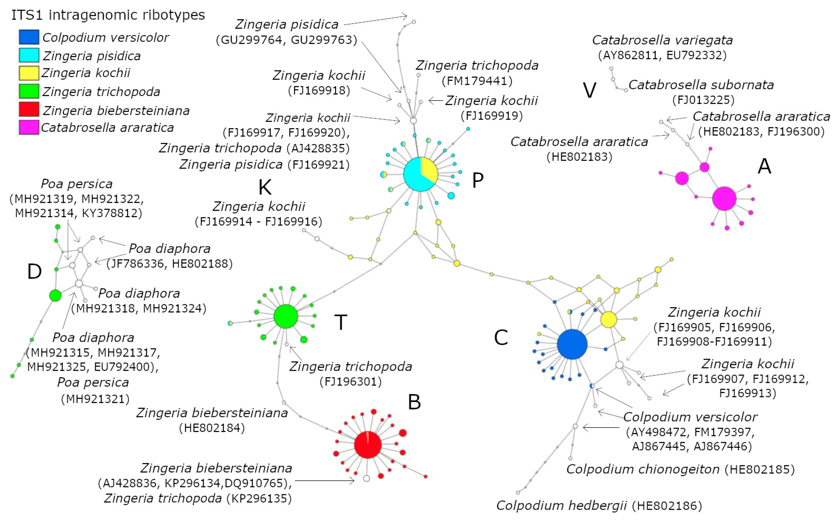 Plants 09 01647 g001