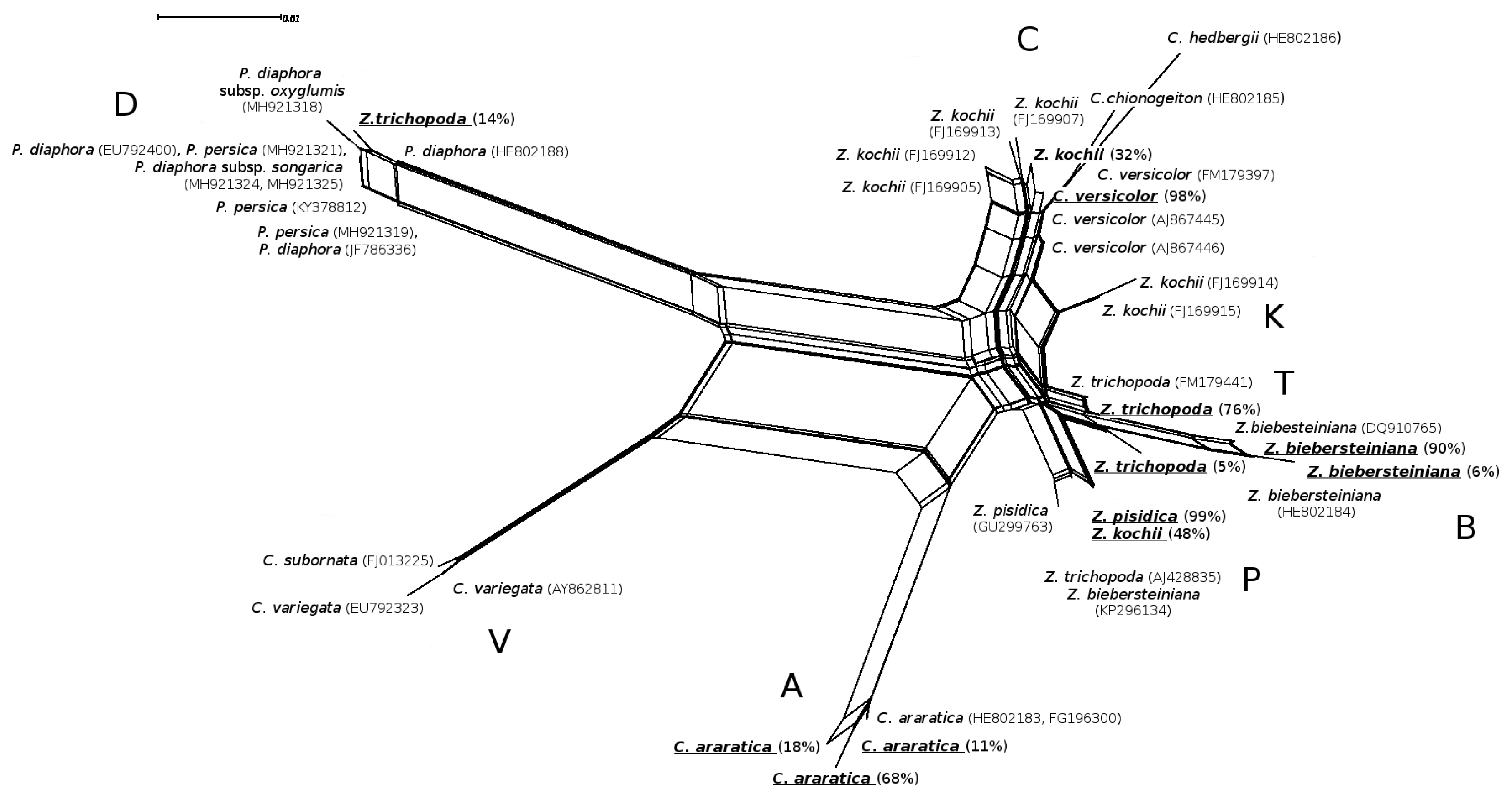 Plants 09 01647 g003