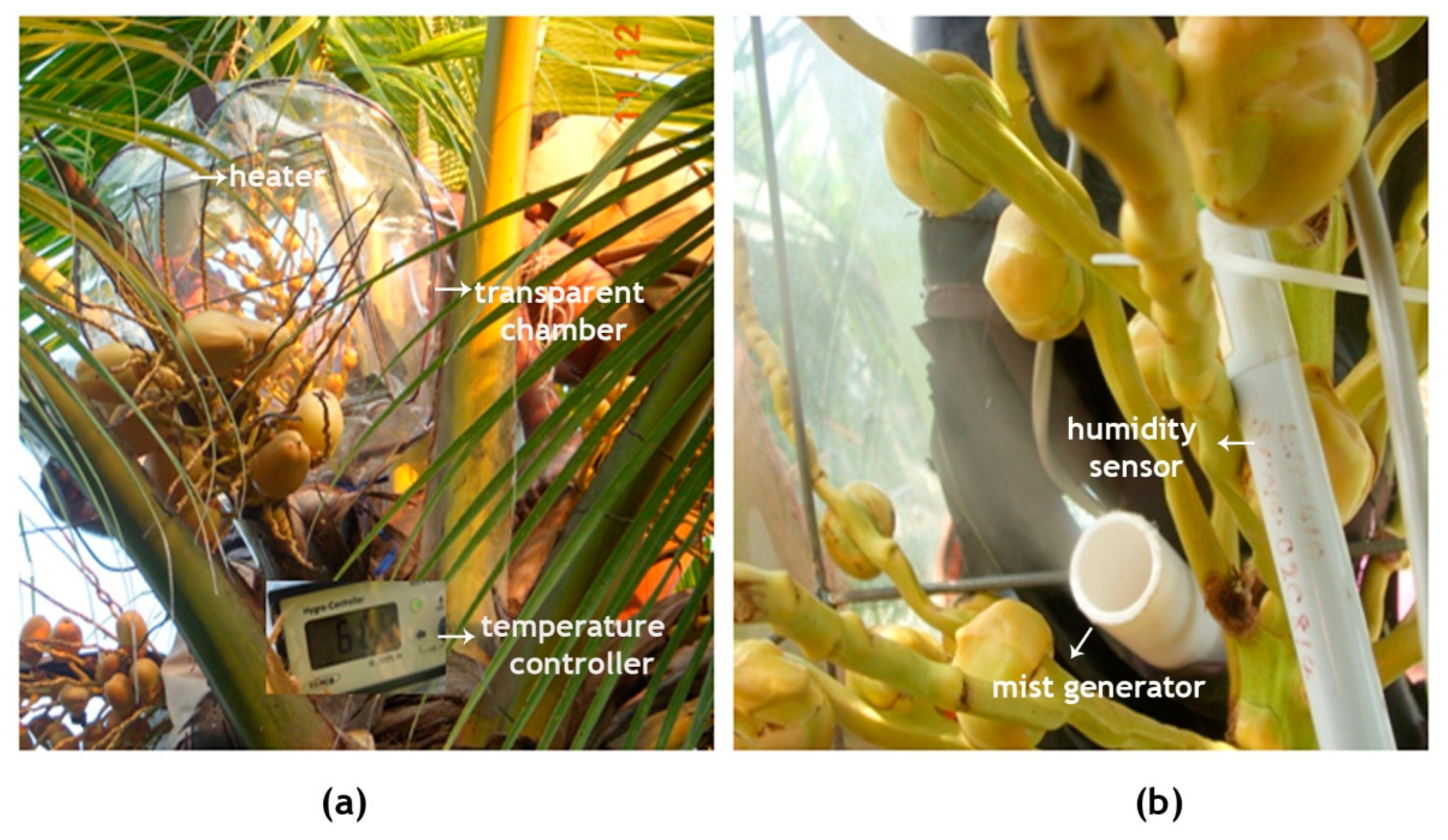 Plants 09 01651 g010 Plants 09 01651 g010