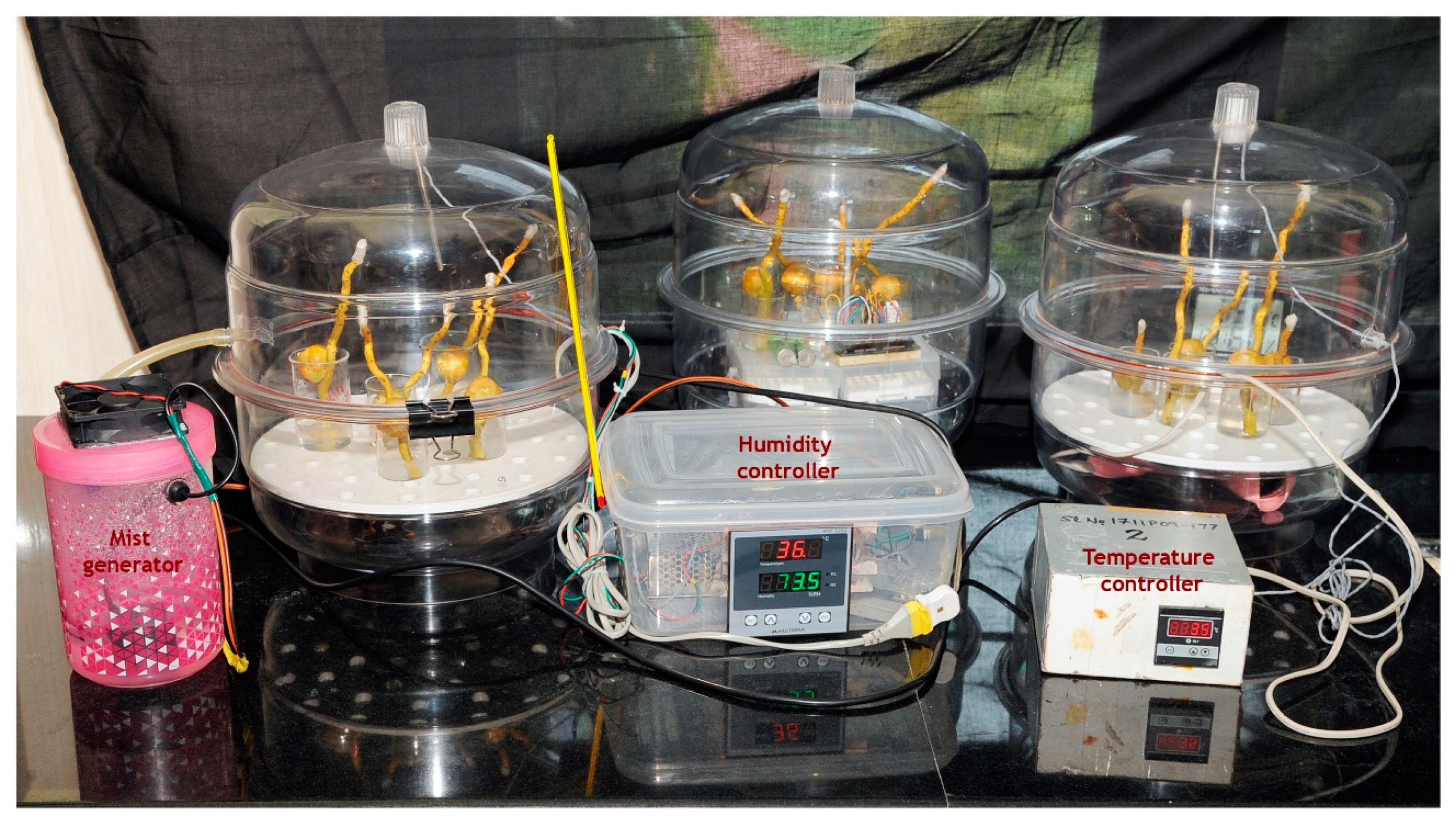 Plants 09 01651 g011 Plants 09 01651 g011