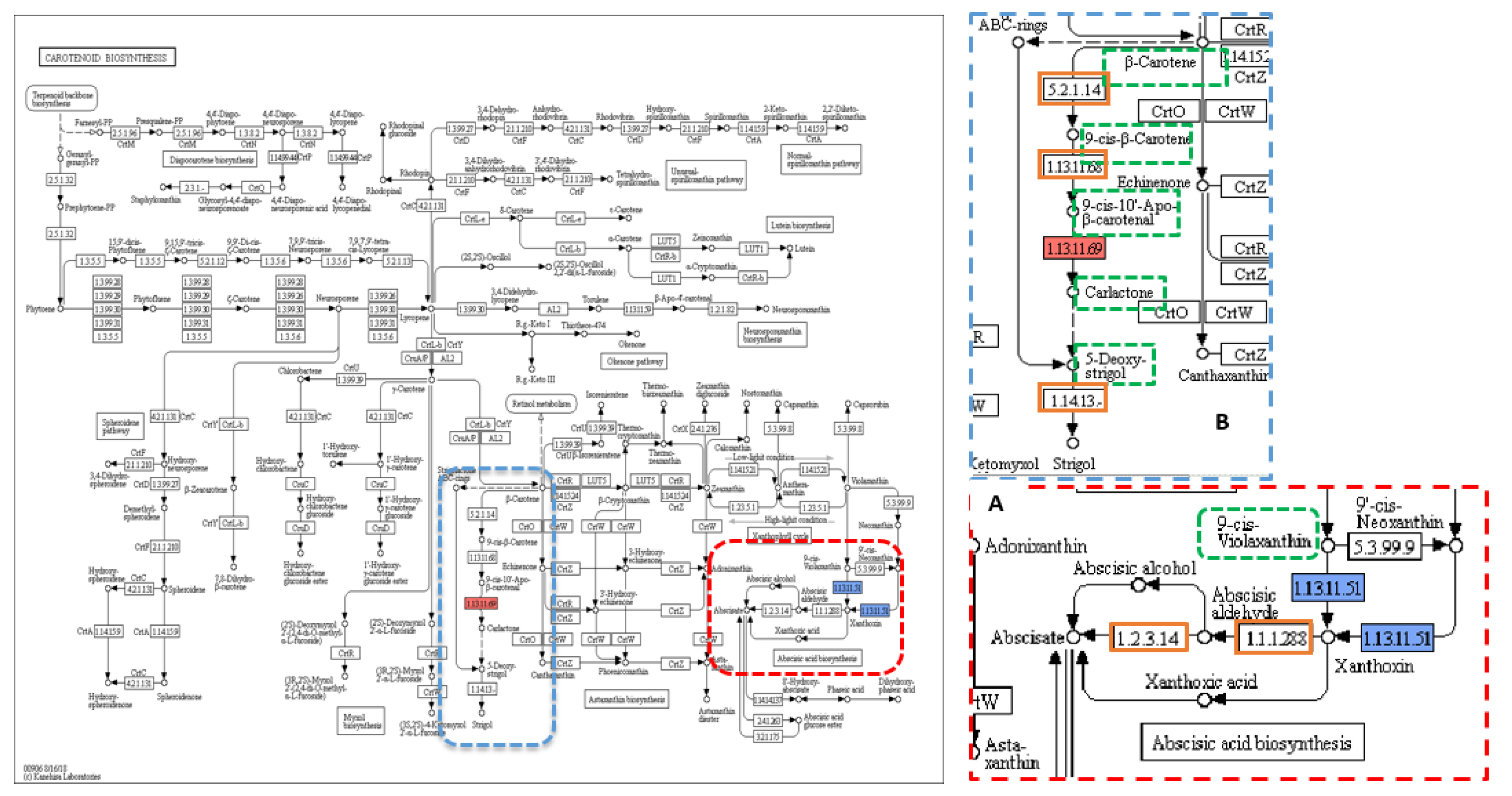 Plants 09 01653 g002