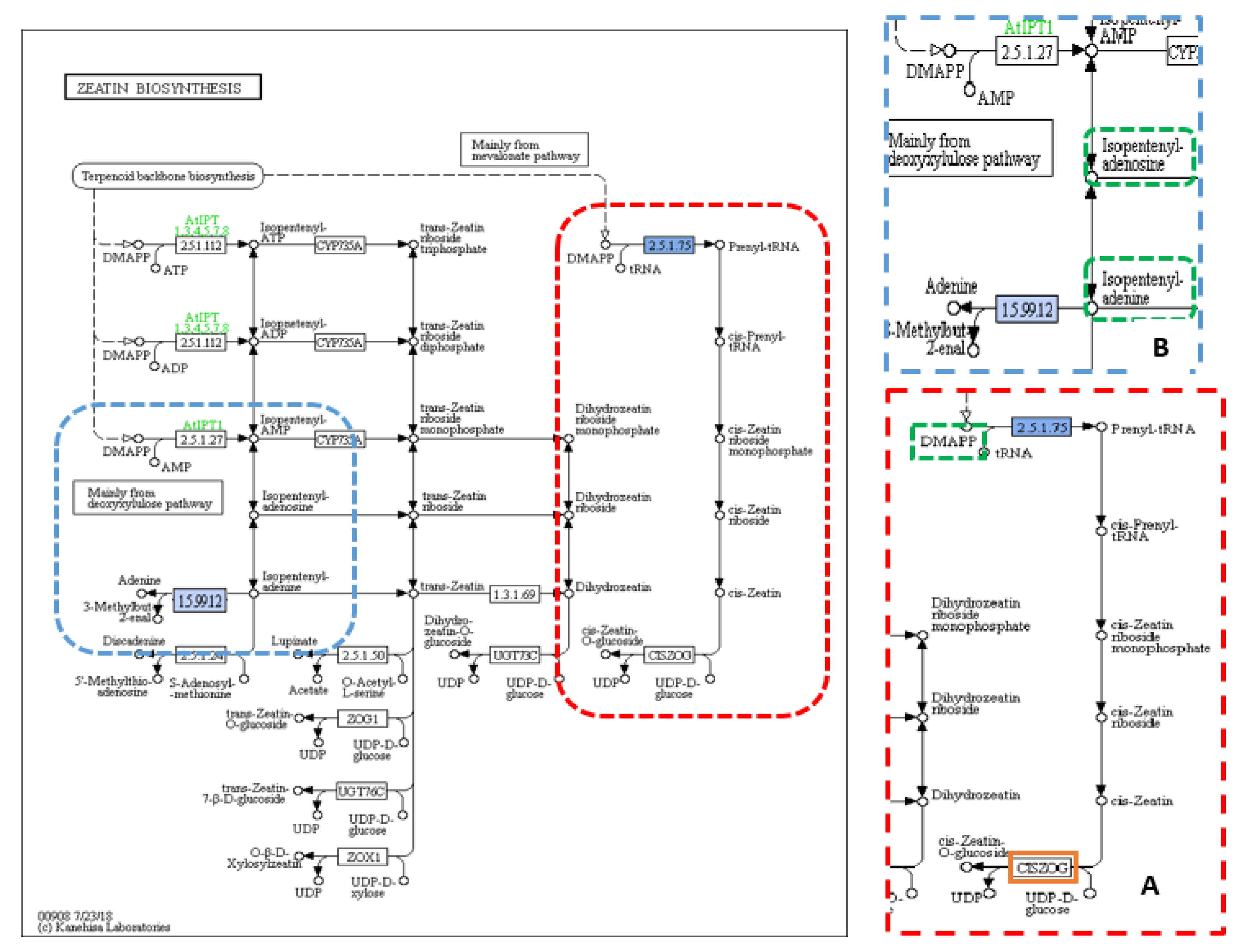 Plants | Free Full-Text | Sequence Variants Linked to Key Traits in ...