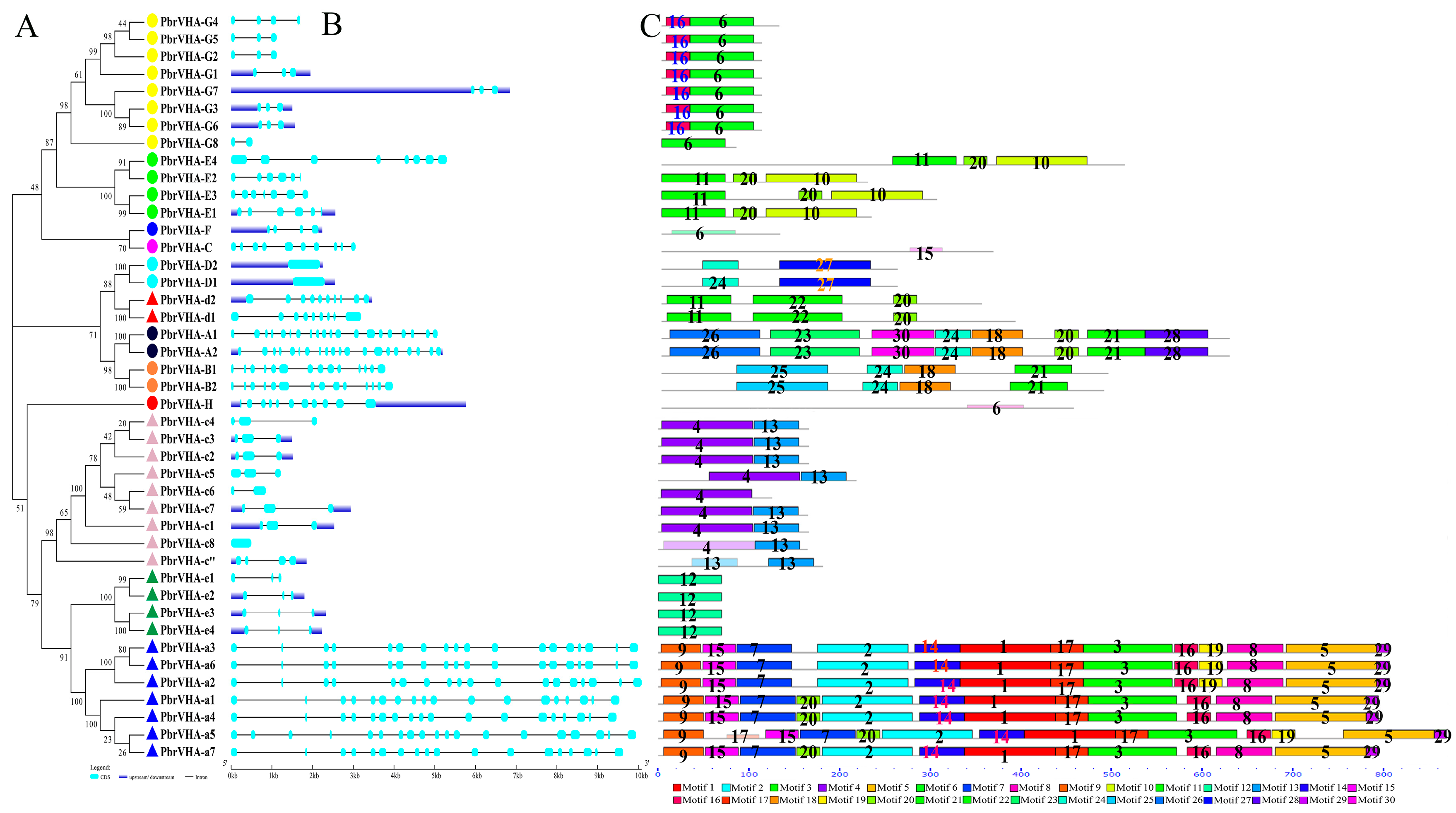 Plants 09 01661 g002 Plants 09 01661 g002