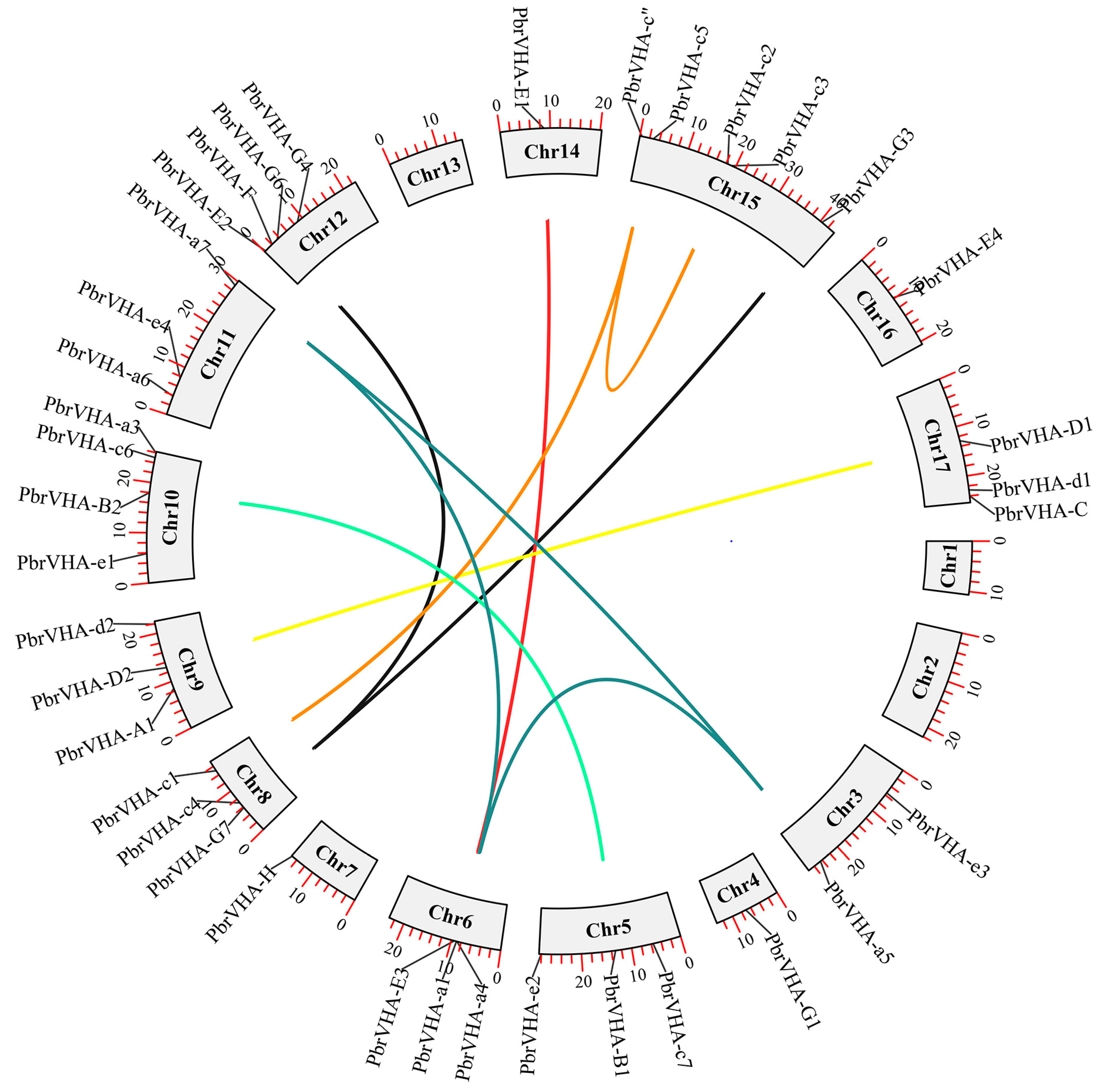 Plants 09 01661 g003 Plants 09 01661 g003