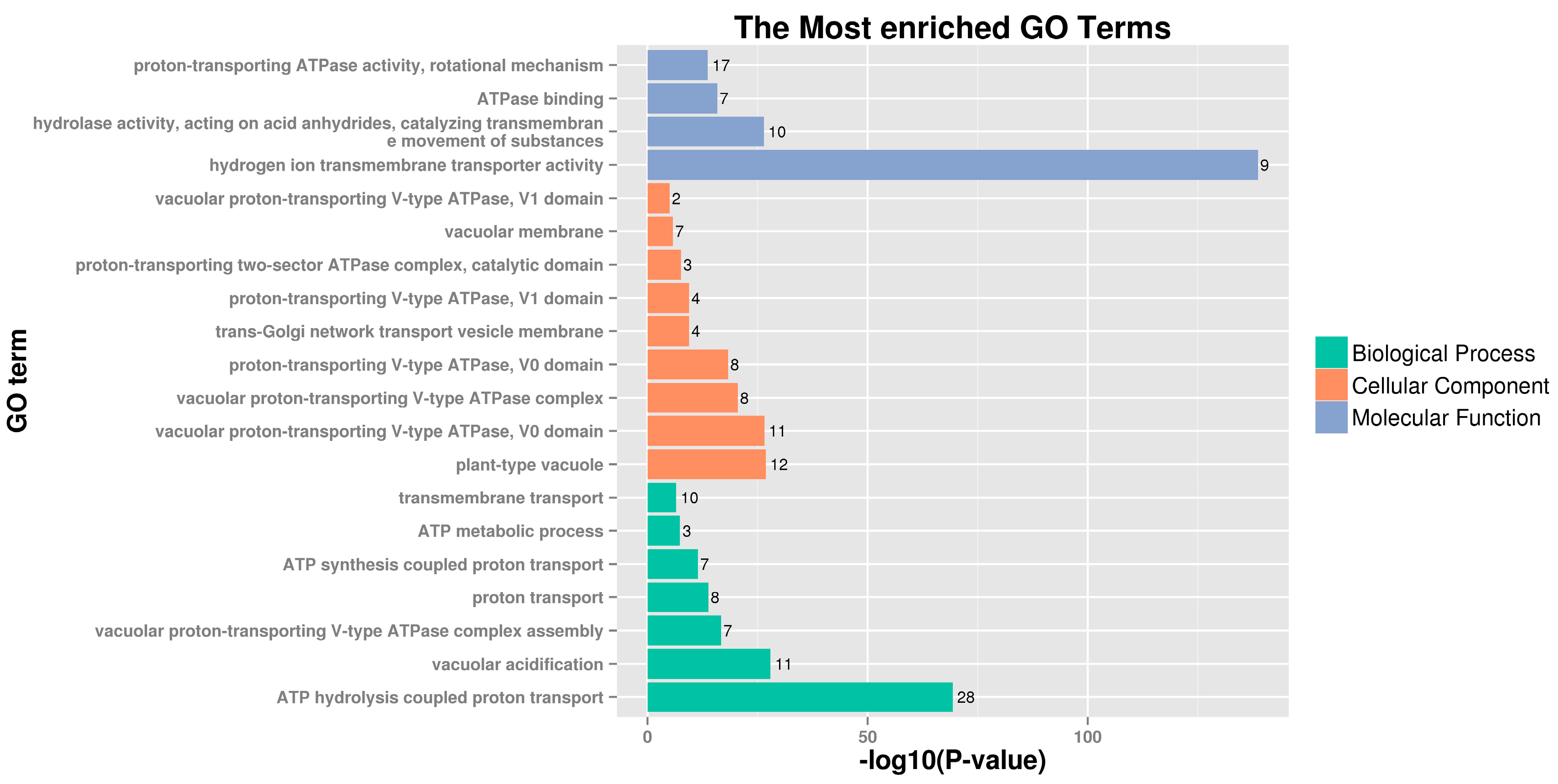 Plants 09 01661 g004 Plants 09 01661 g004