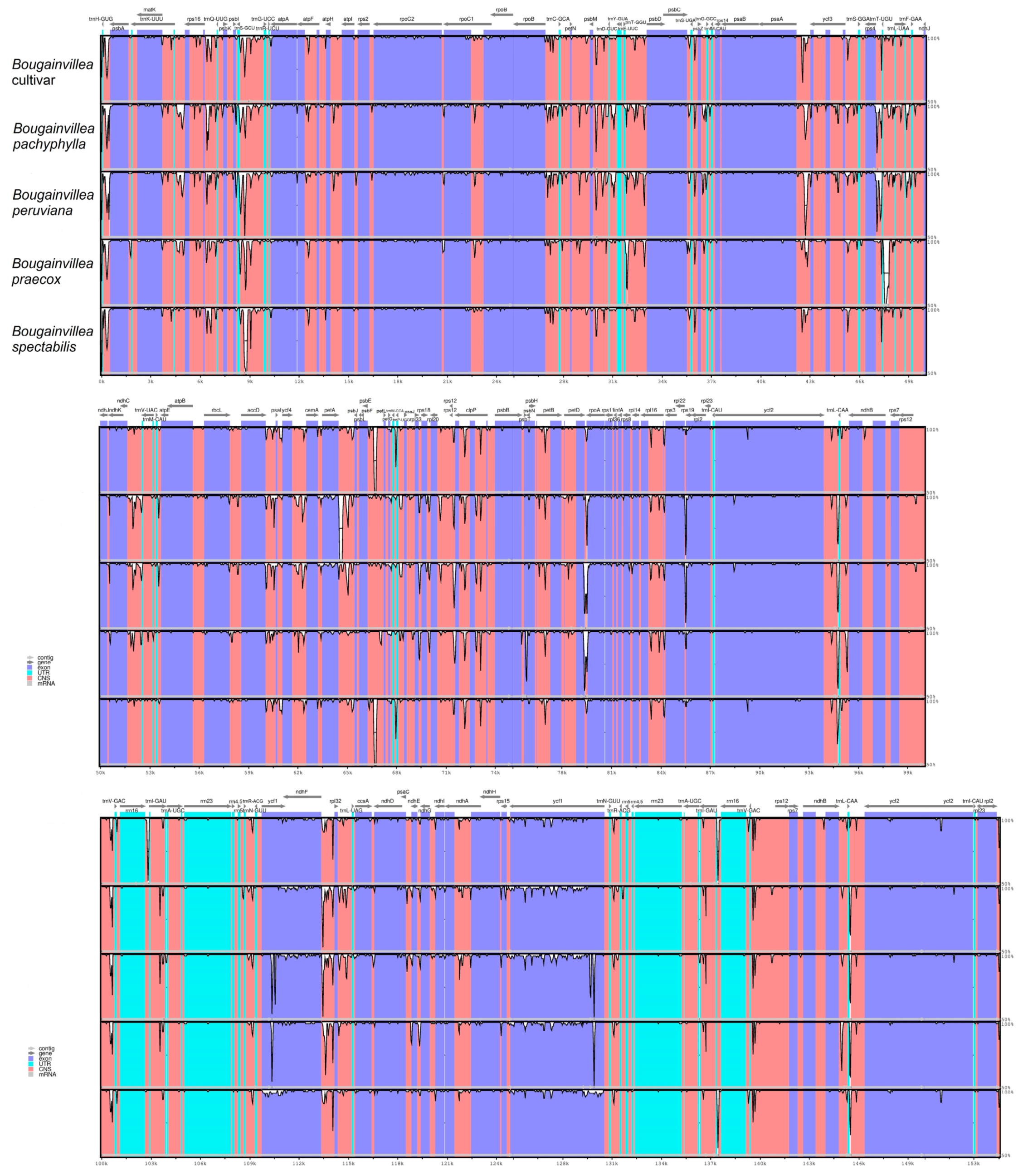 Plants 09 01671 g006