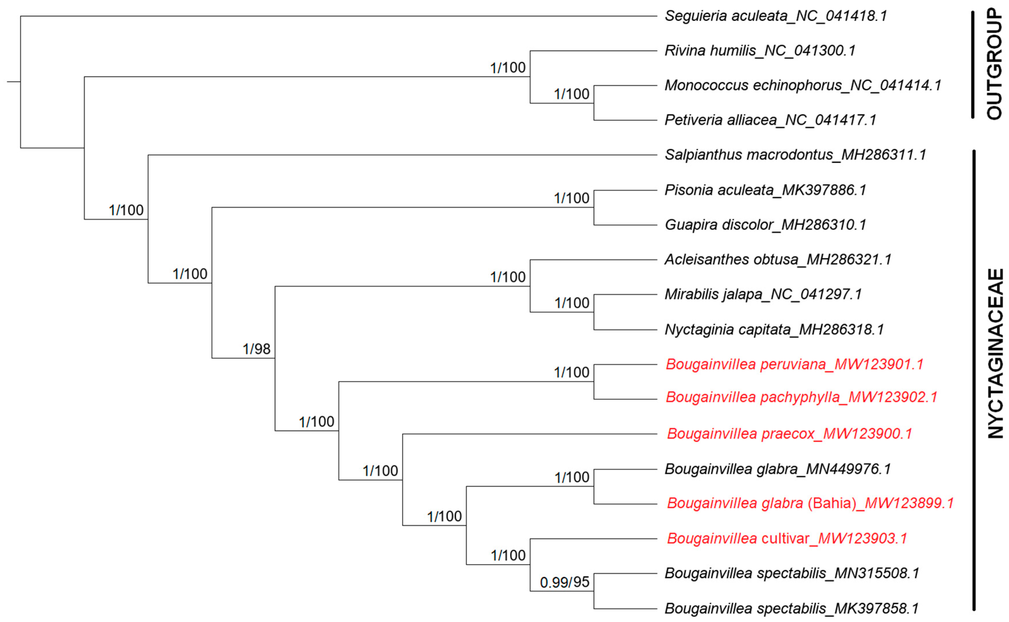 Plants 09 01671 g010
