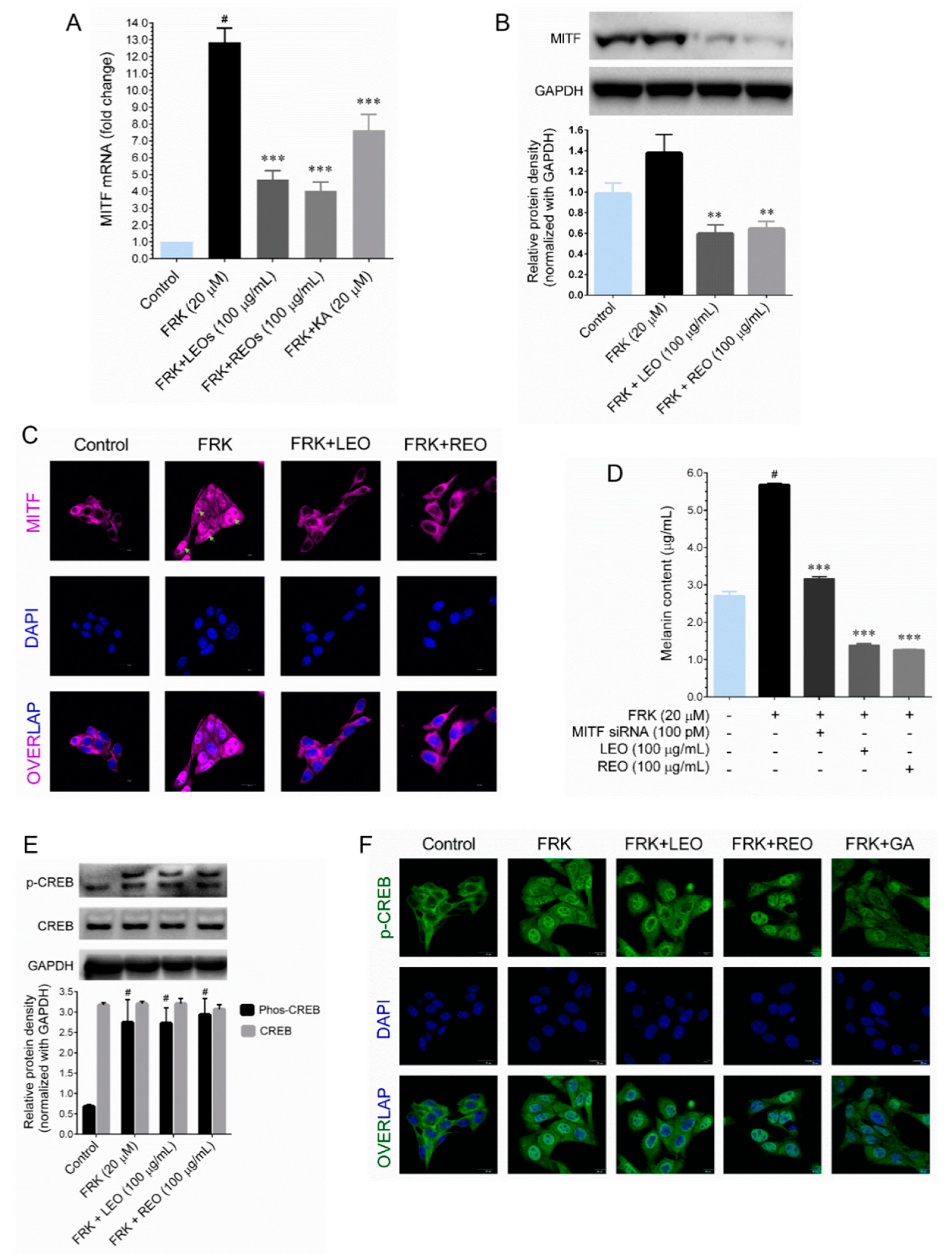Plants 09 01672 g002