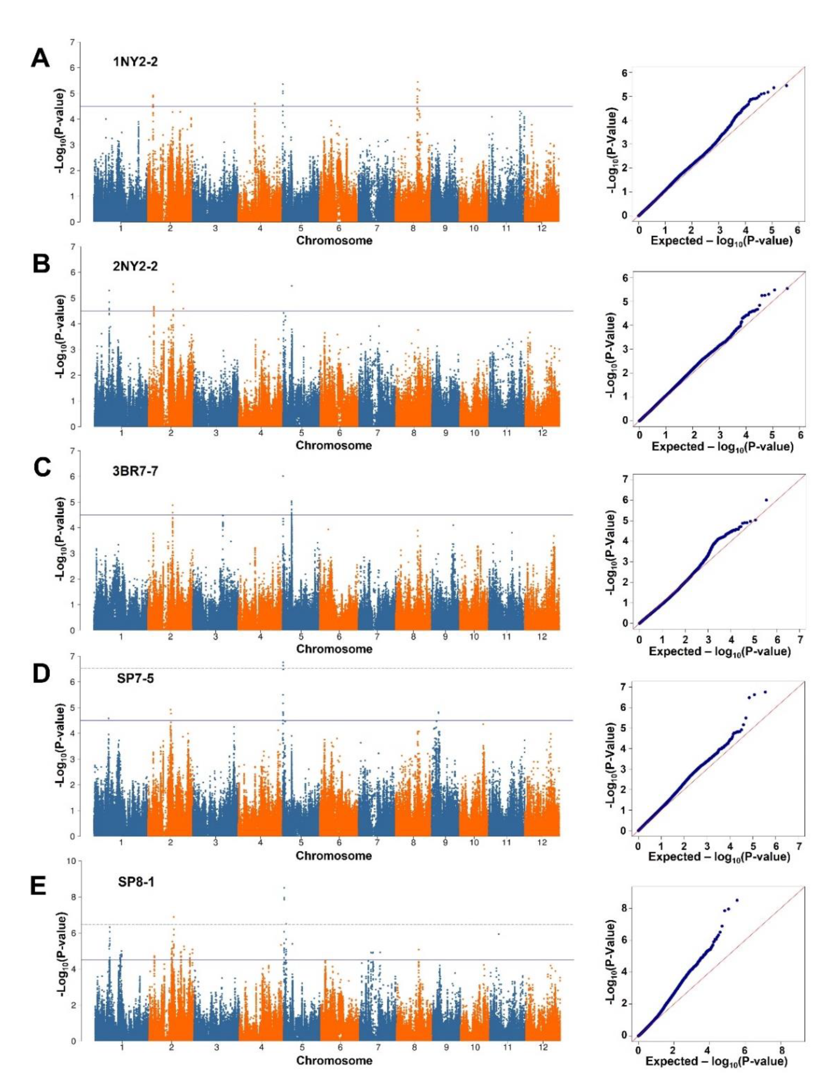 Plants 09 01673 g003