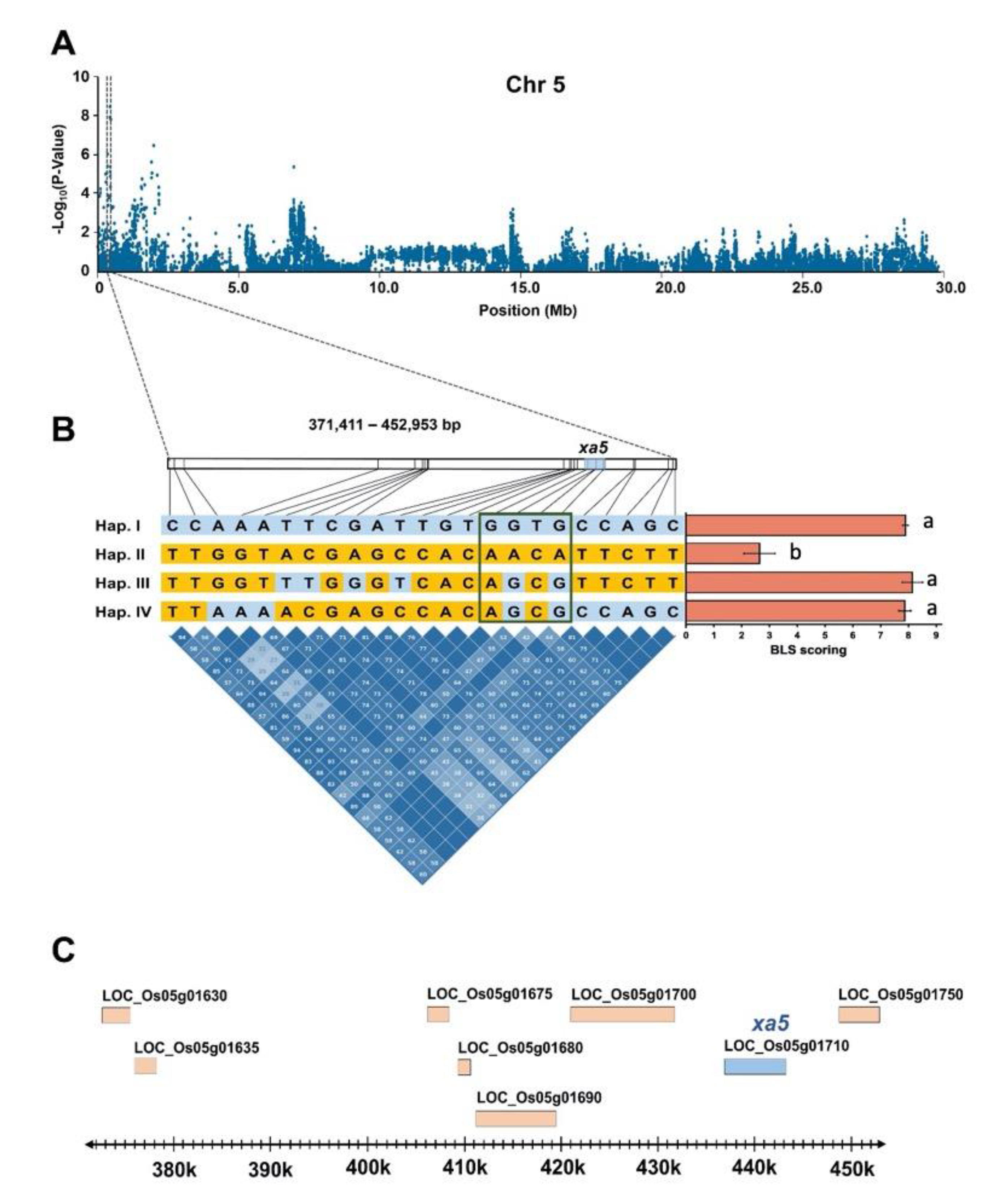 Plants 09 01673 g005