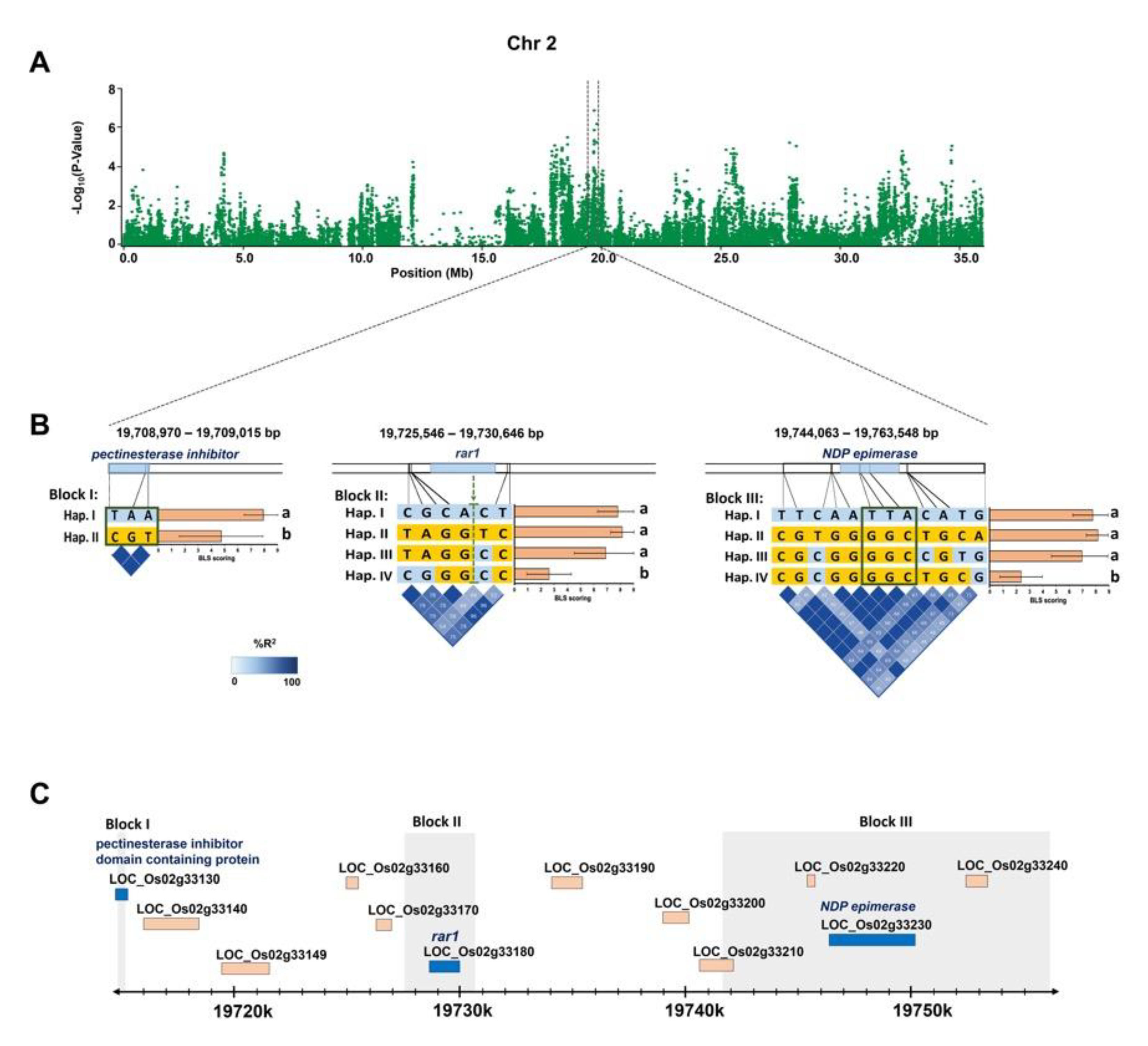 Plants 09 01673 g006