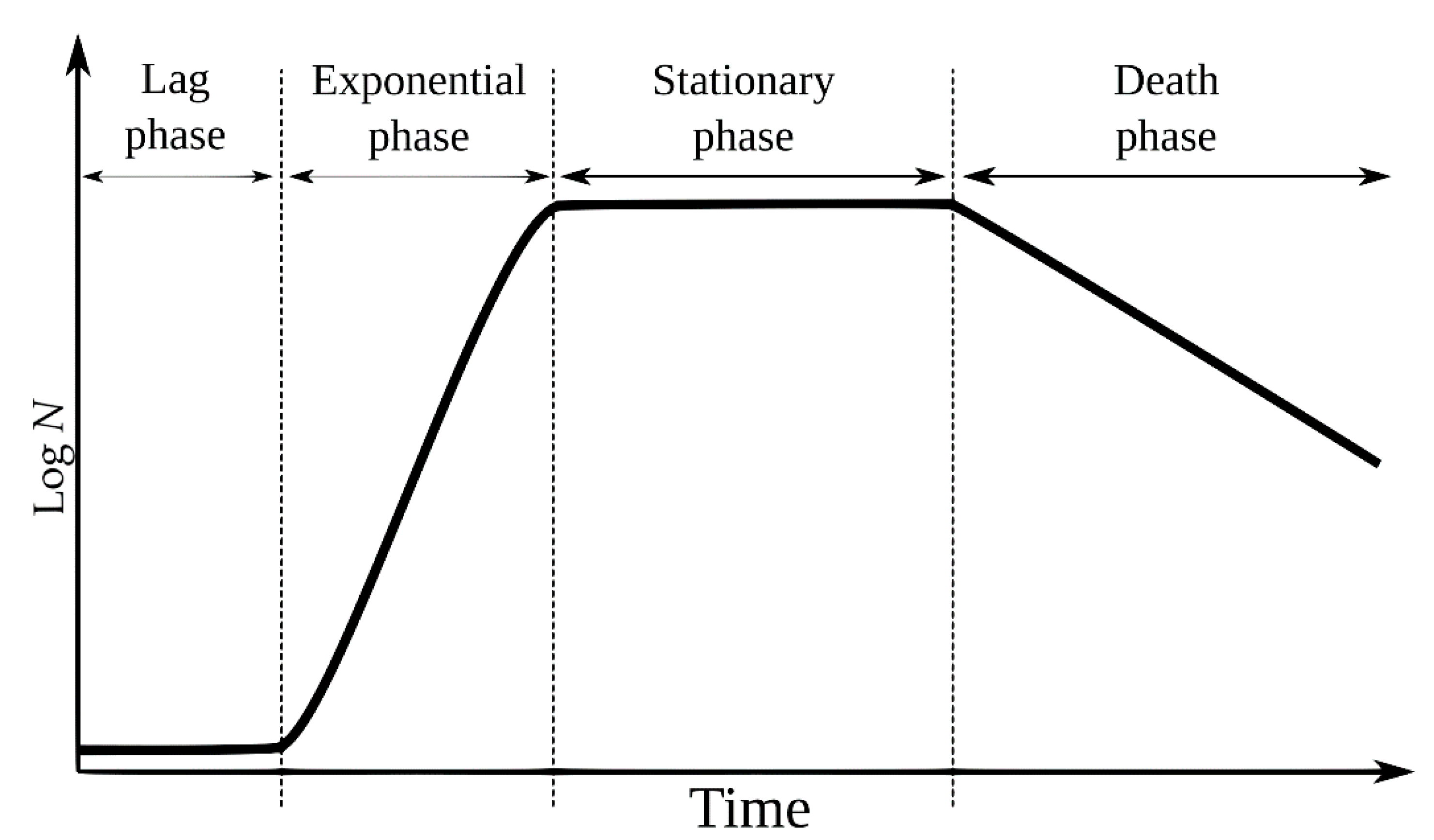Plants Free FullText Generation Times of E. coli Prolong with