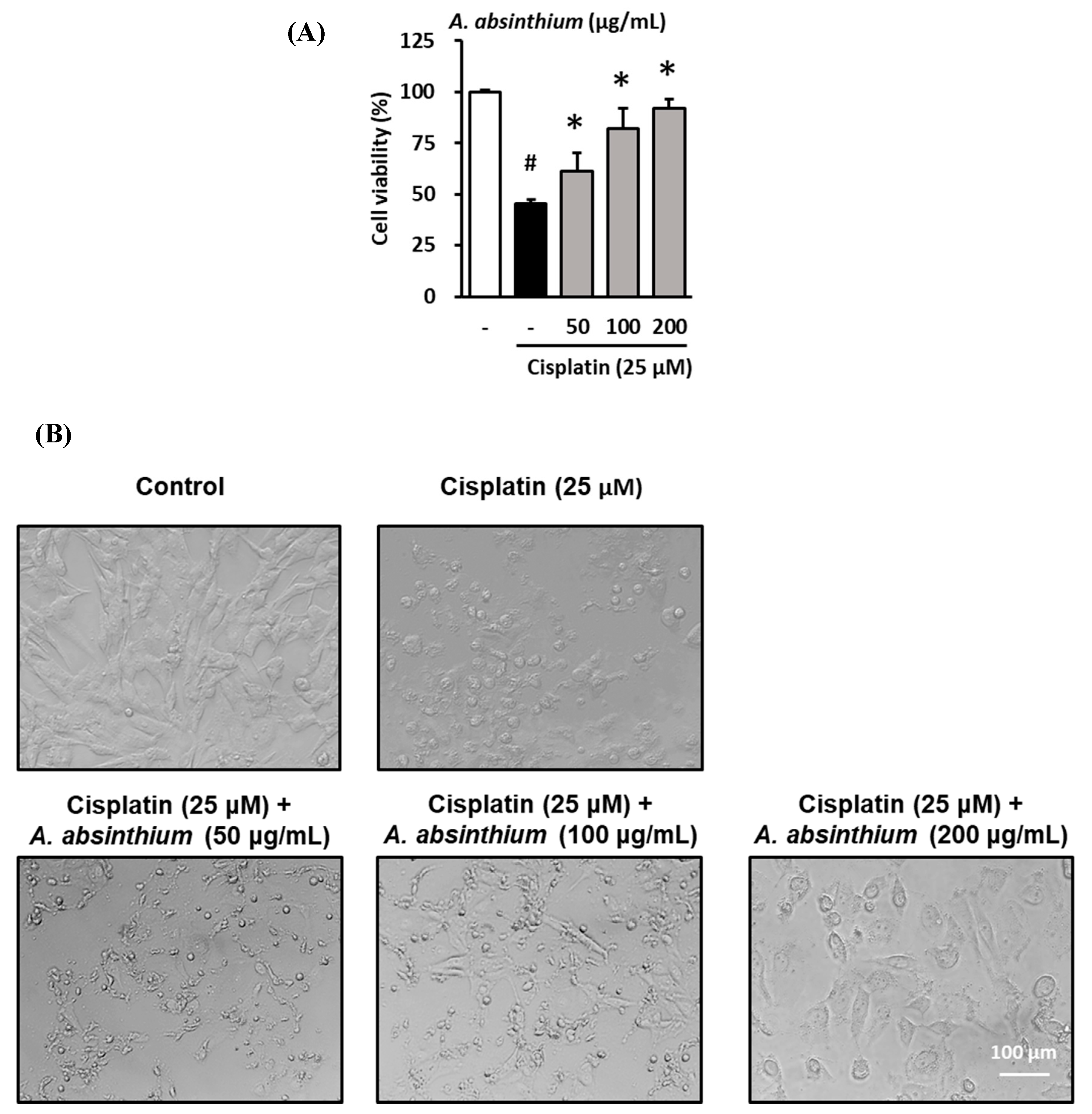 Plants 09 01681 g001 Plants 09 01681 g001