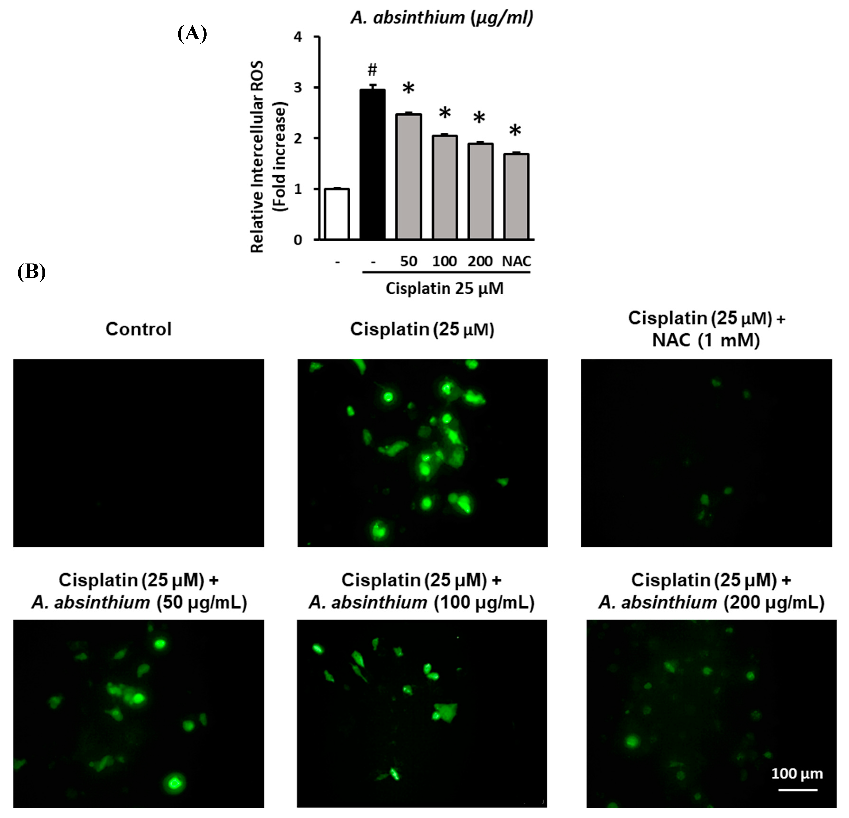 Plants 09 01681 g002 Plants 09 01681 g002