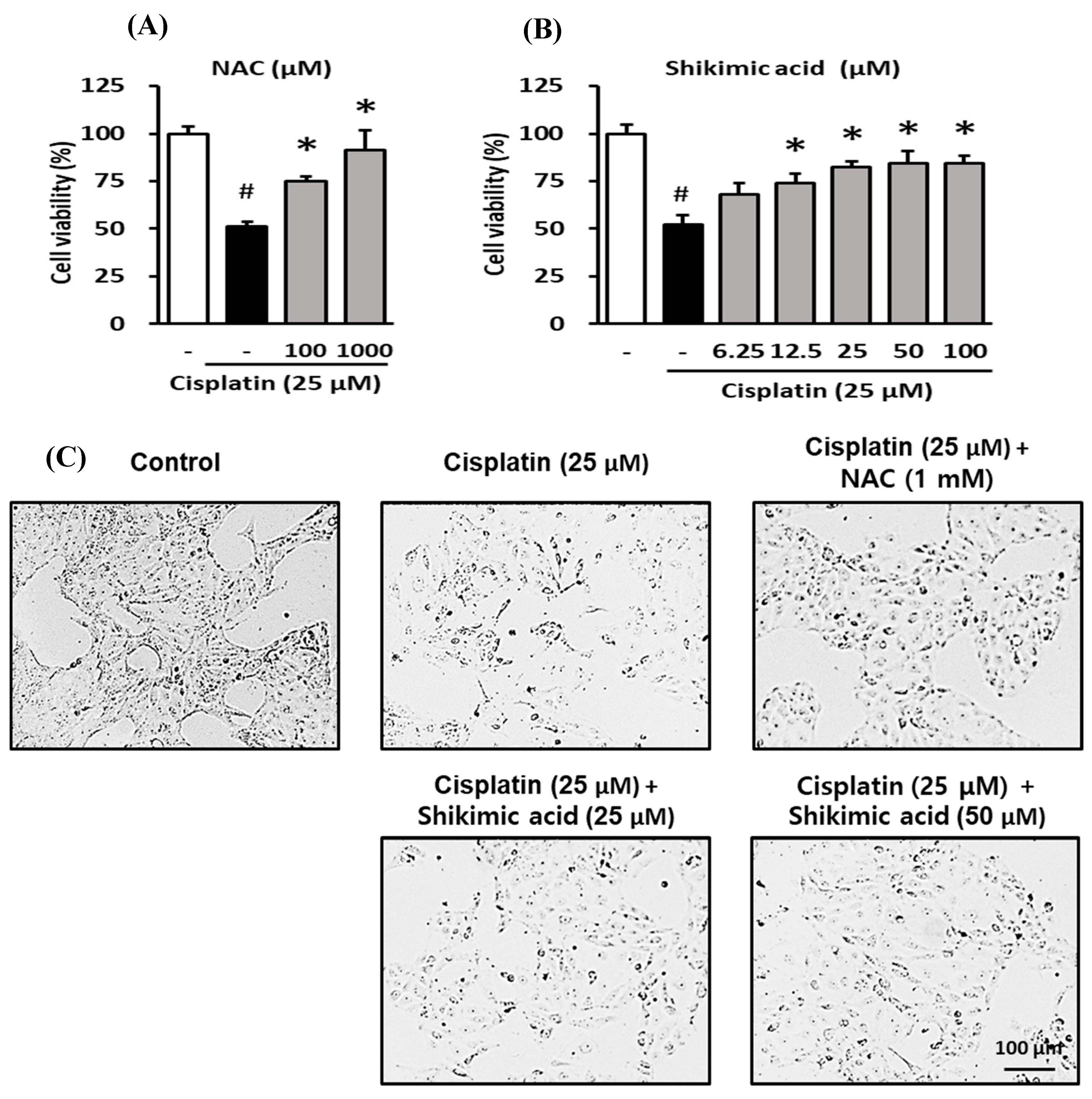 Plants 09 01681 g005 Plants 09 01681 g005