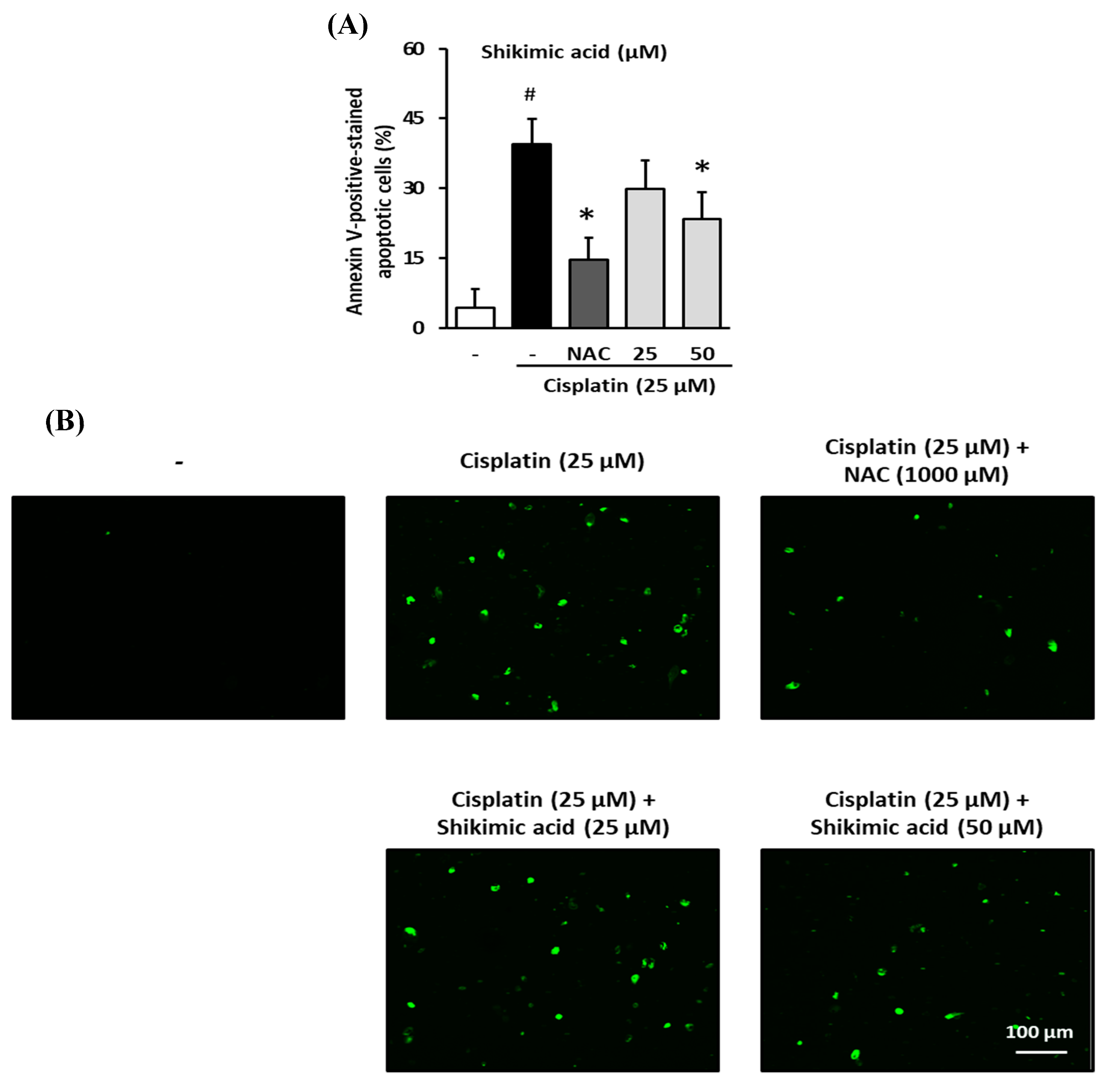 Plants 09 01681 g007 Plants 09 01681 g007