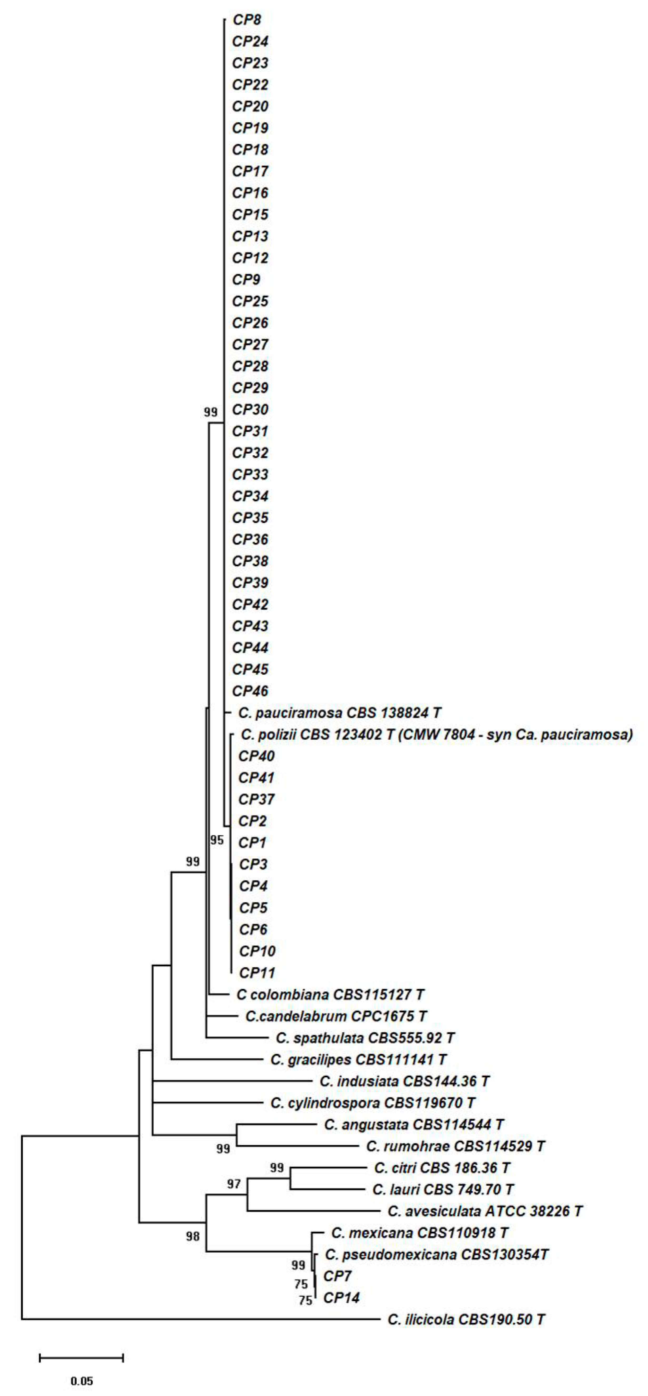 Plants 09 01682 g001