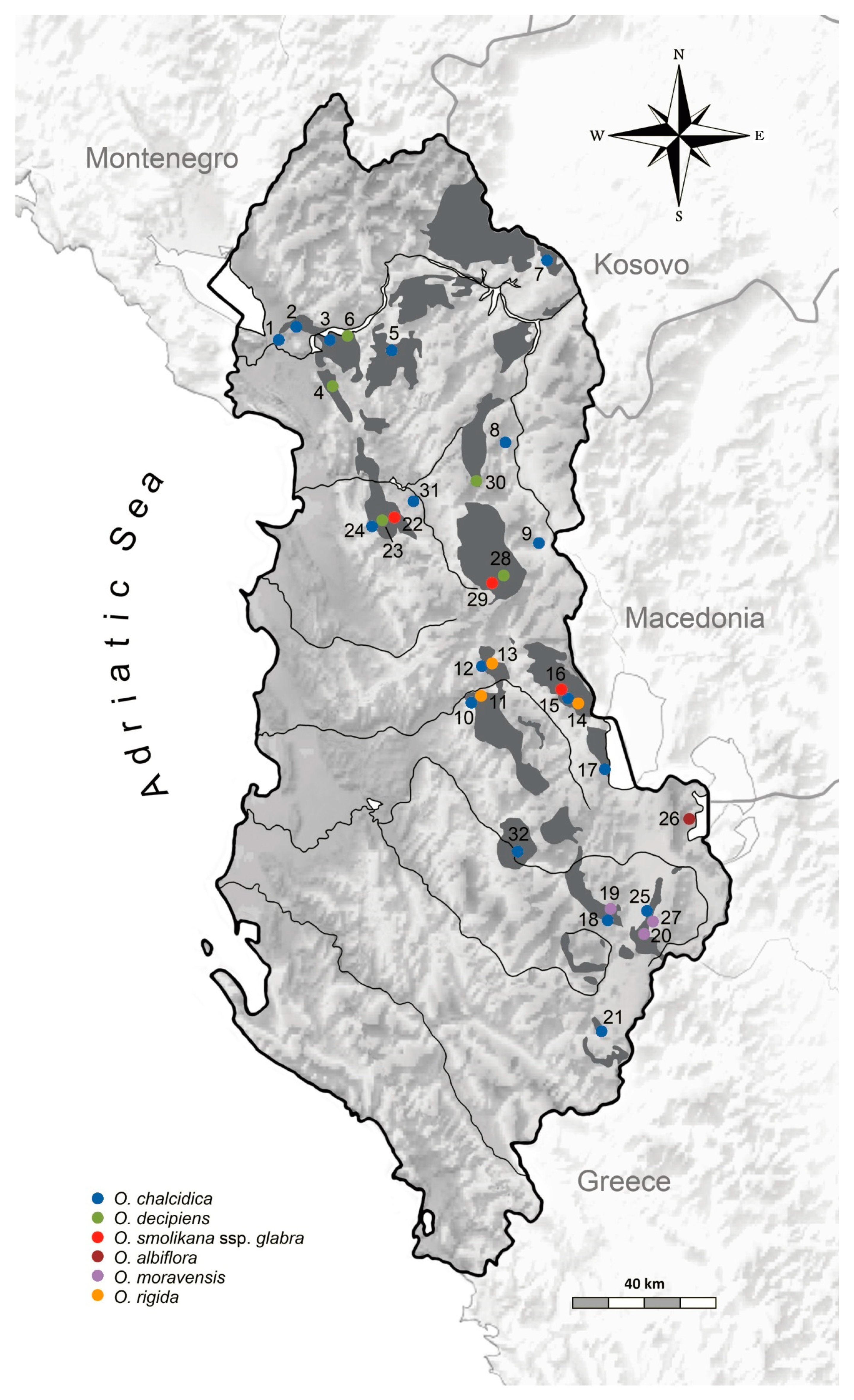 Plants 09 01686 g008 Plants 09 01686 g008