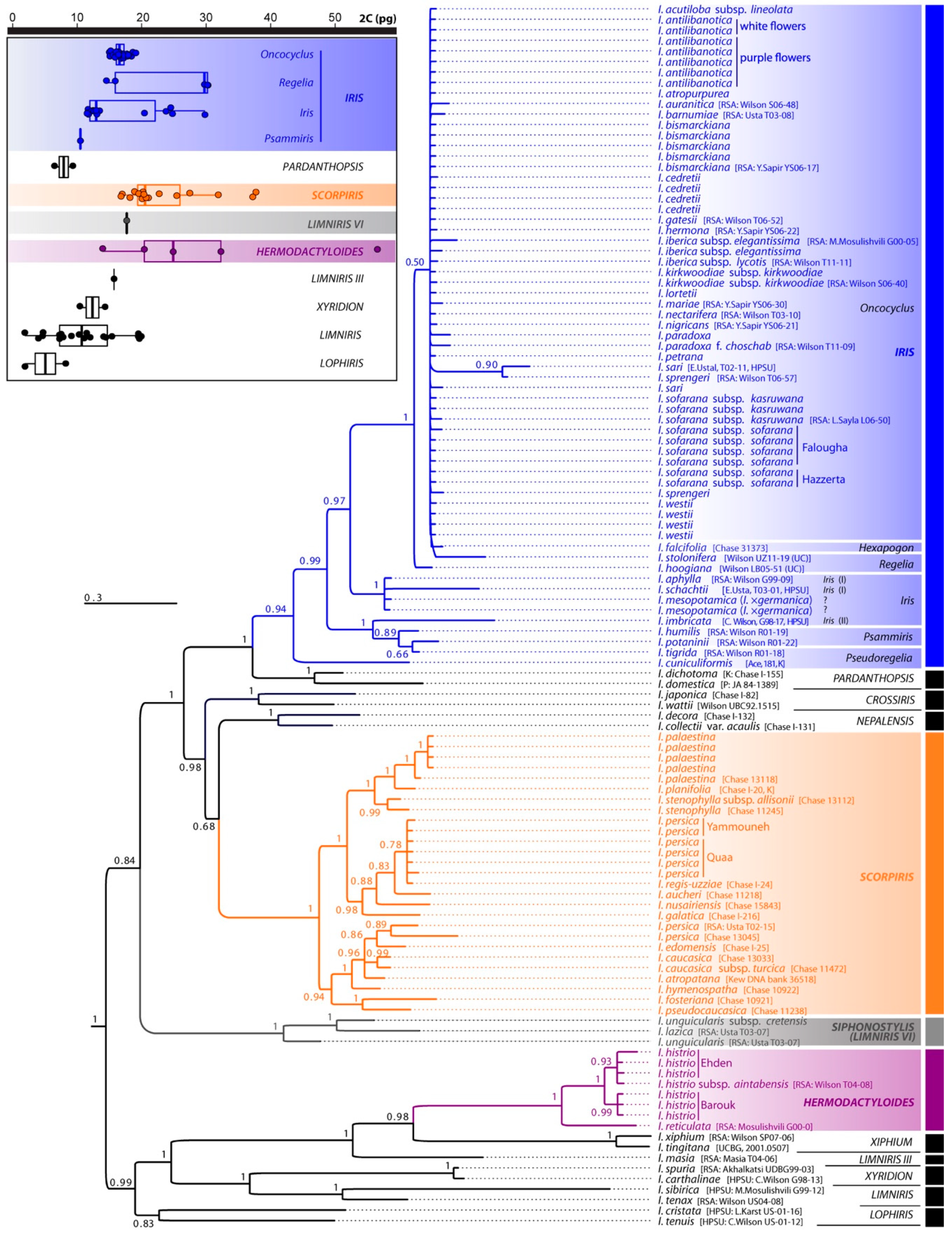 Plants 09 01687 g001