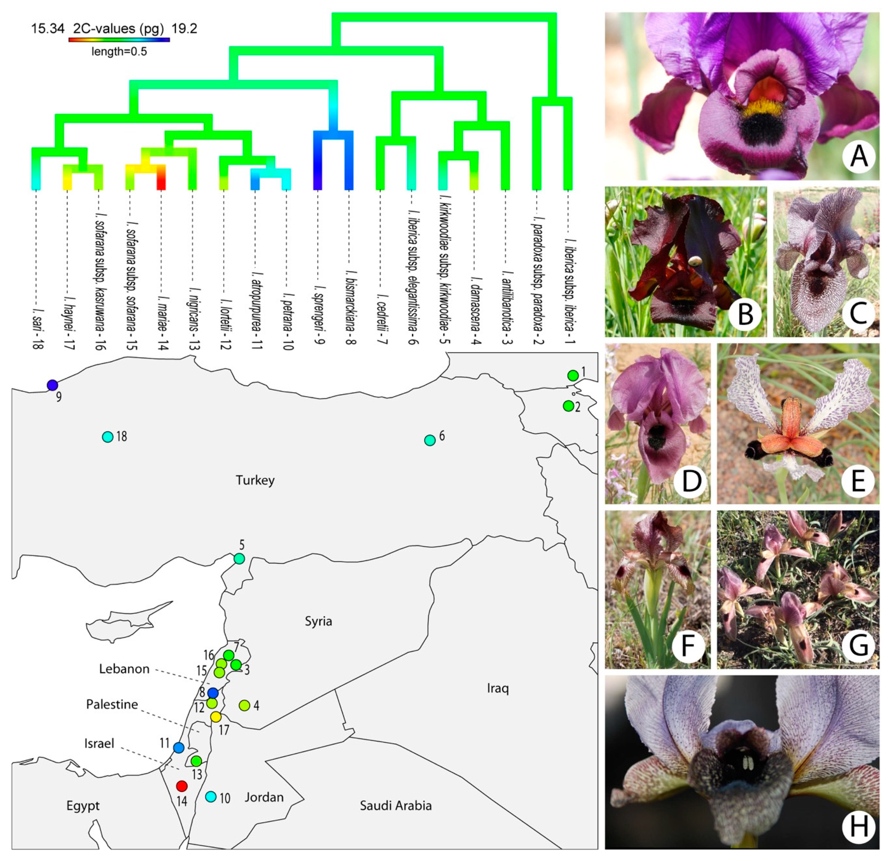 Plants 09 01687 g003