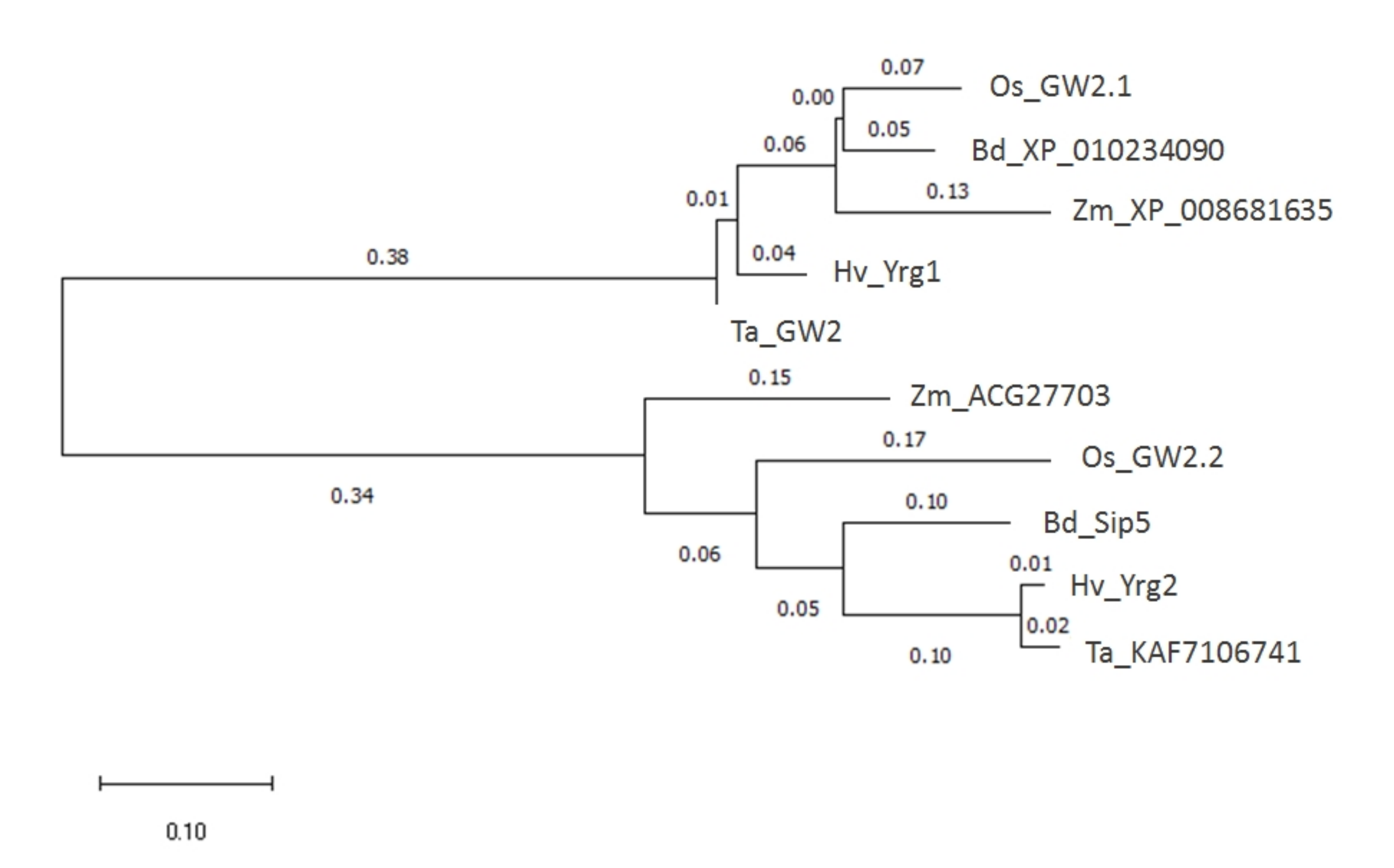 Plants 09 01693 g001