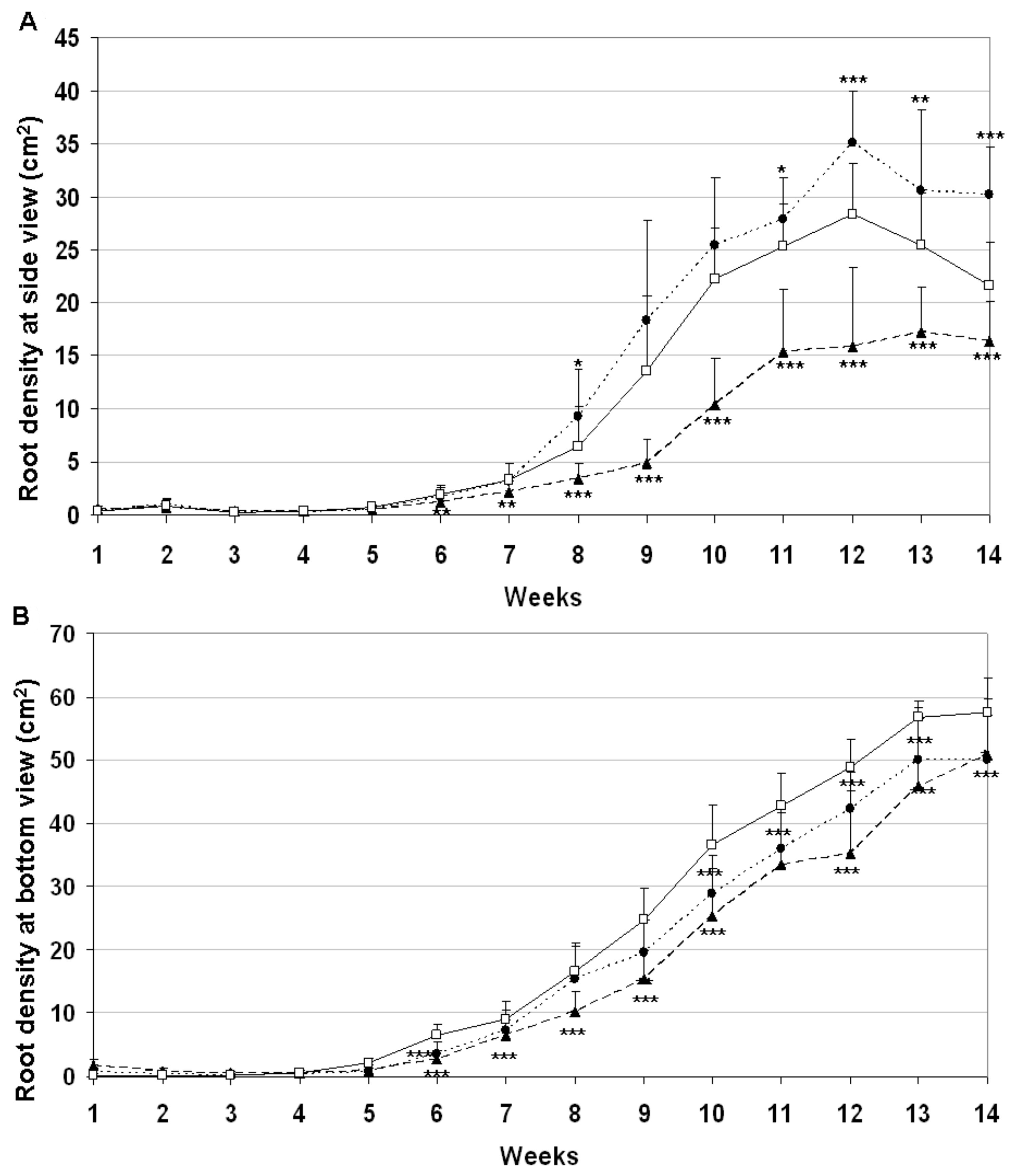 Plants 09 01693 g005