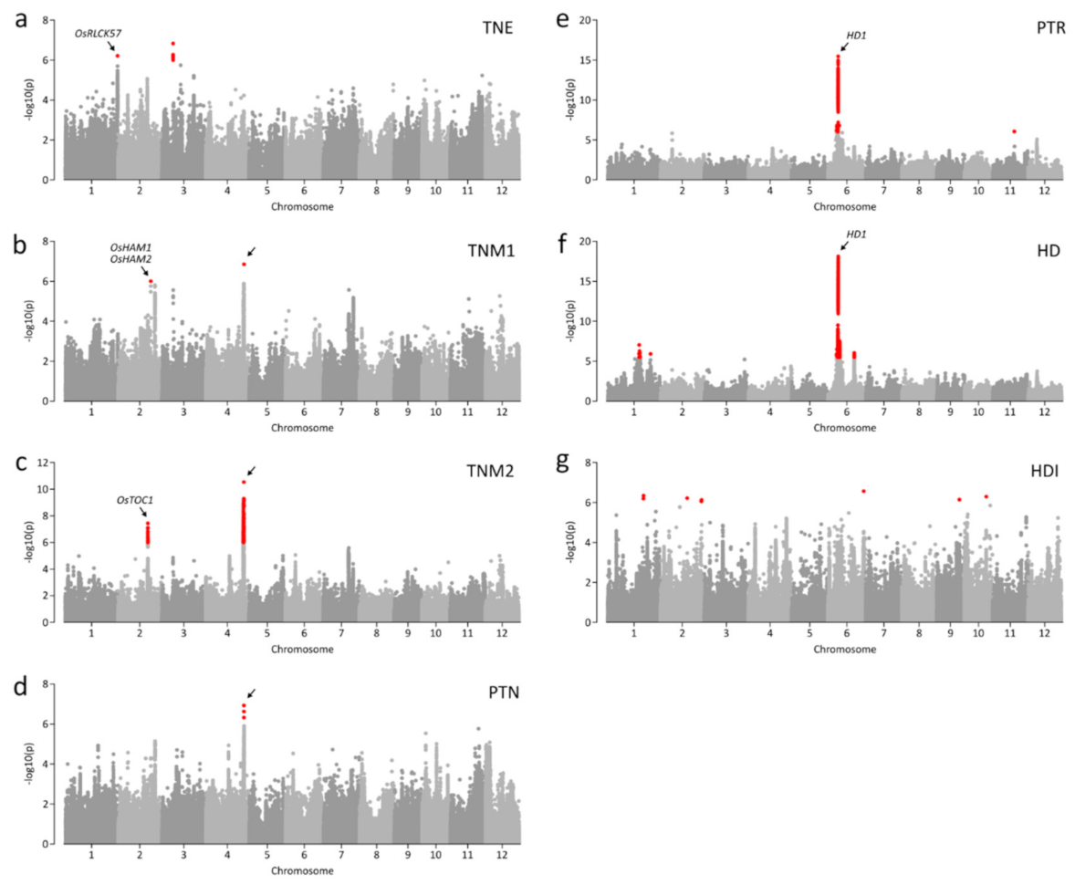 Plants 09 01695 g002 Plants 09 01695 g002