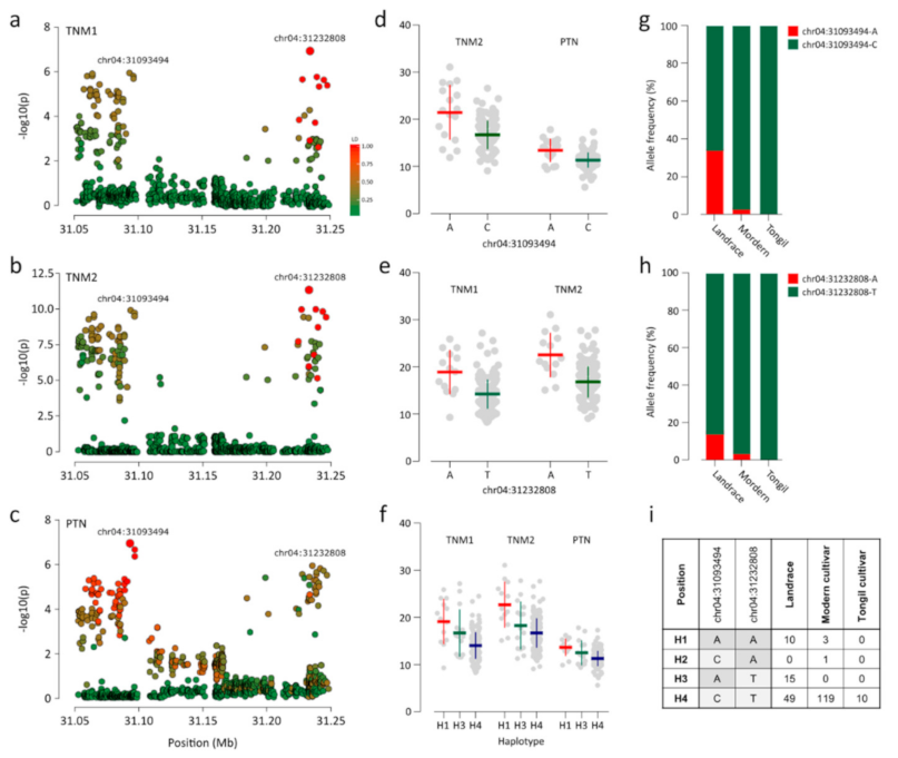 Plants 09 01695 g003 Plants 09 01695 g003