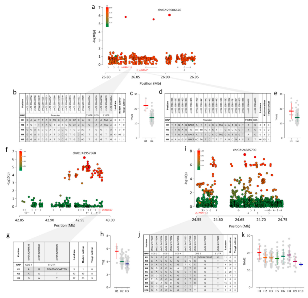 Plants 09 01695 g005 Plants 09 01695 g005