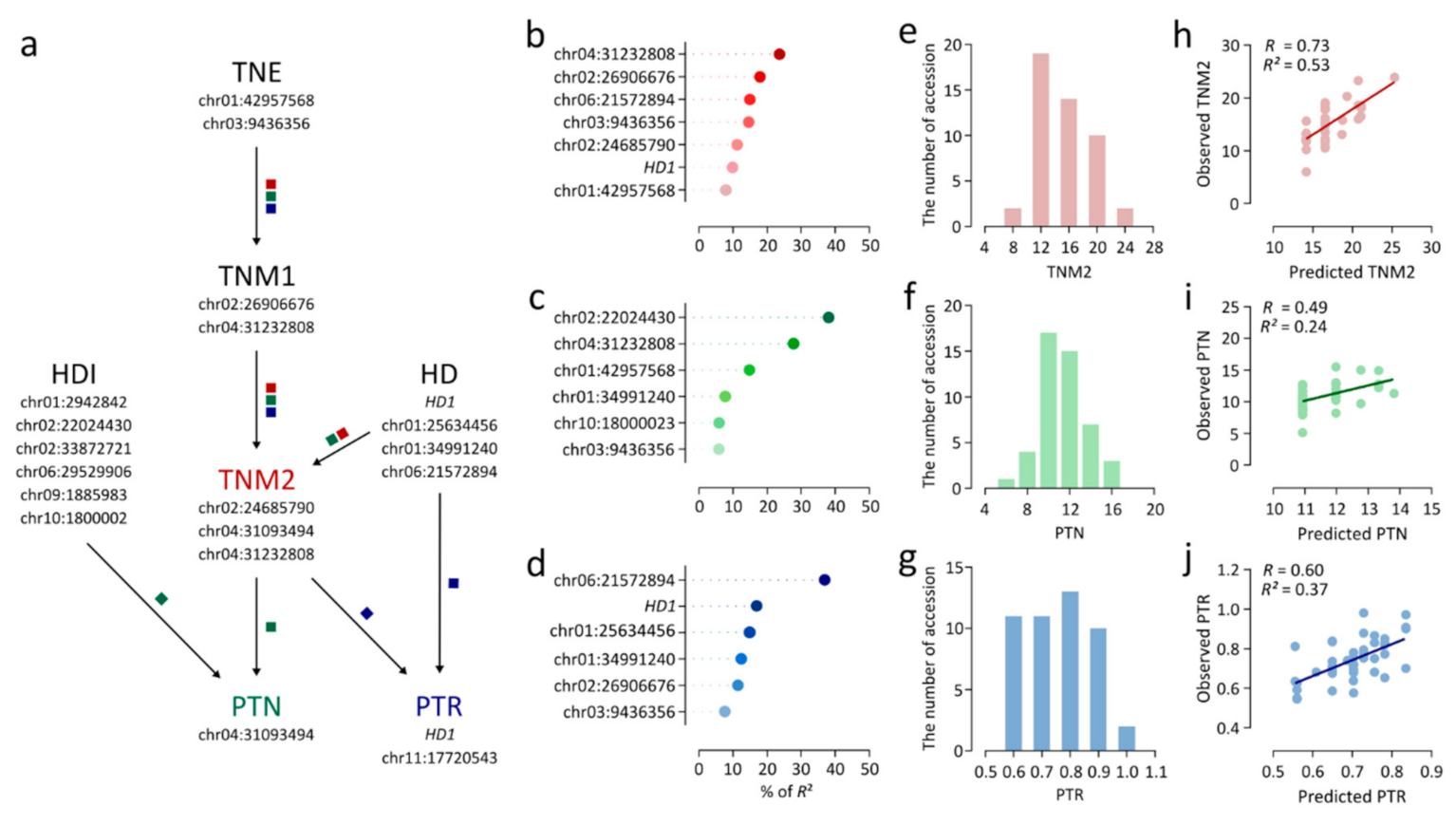 Plants 09 01695 g006 Plants 09 01695 g006