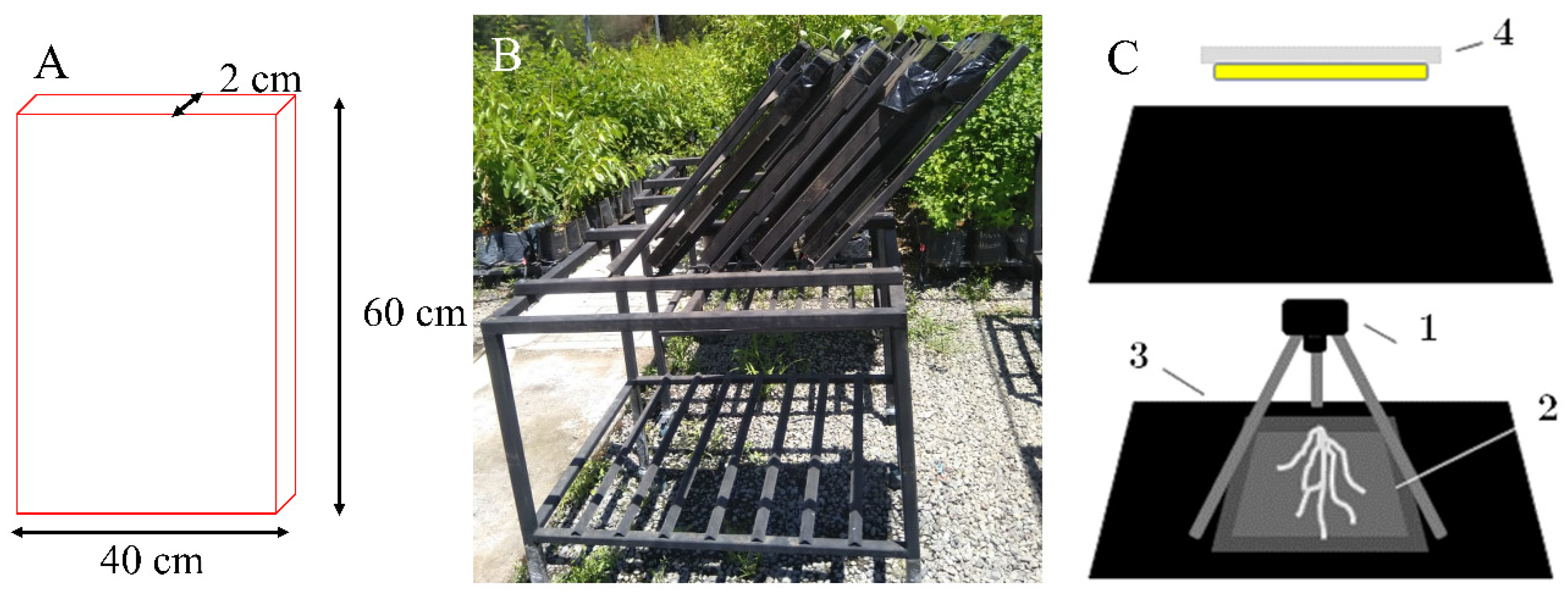 Plants 09 01697 g006 Plants 09 01697 g006