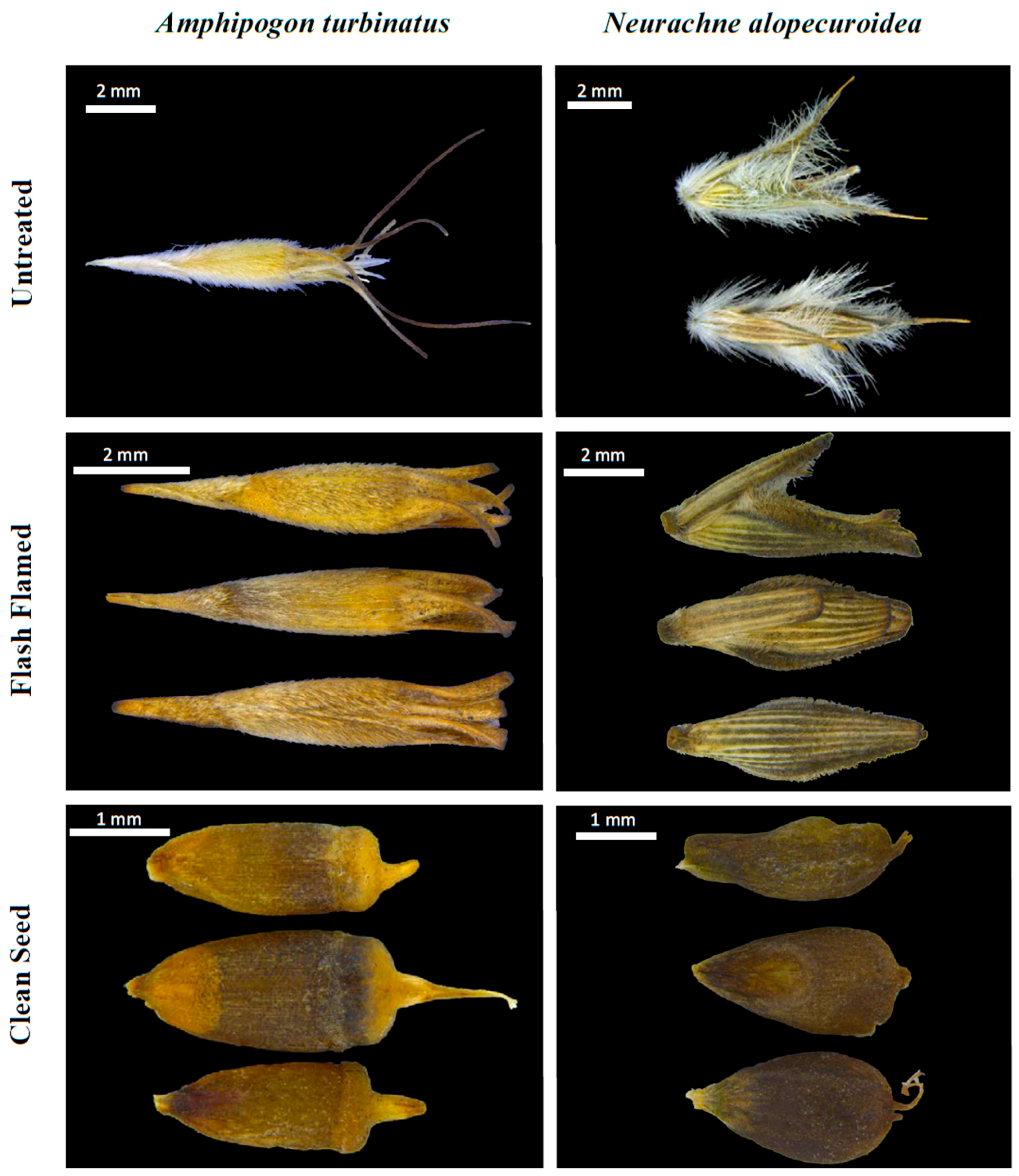 Plants 09 01699 g001