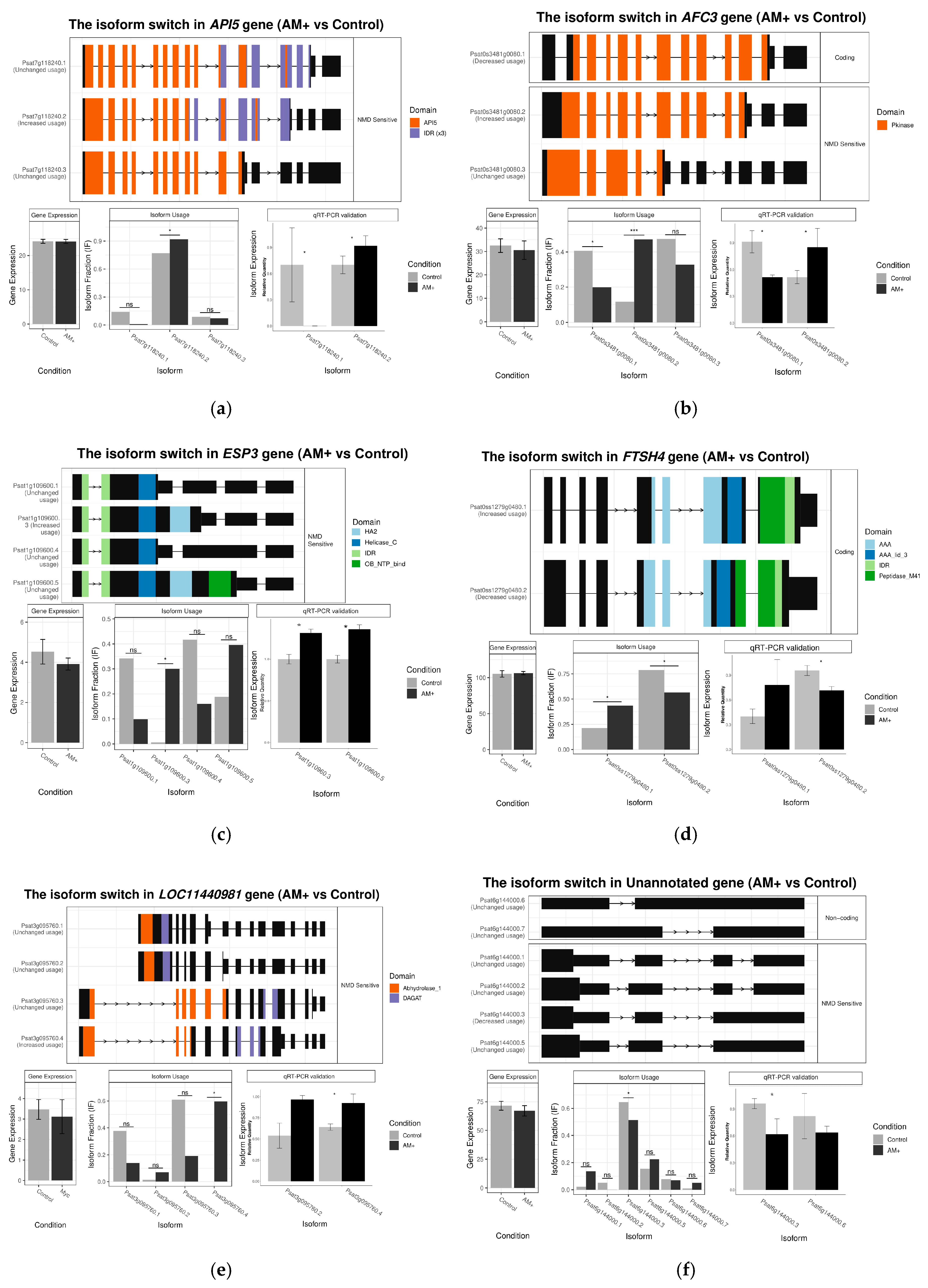 Plants 09 01700 g004a Plants 09 01700 g004a