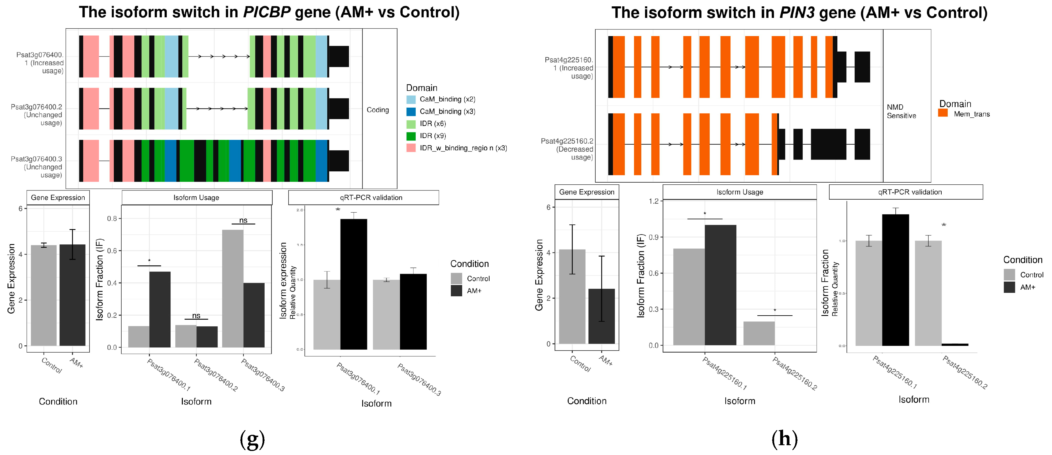 Plants 09 01700 g004b Plants 09 01700 g004b