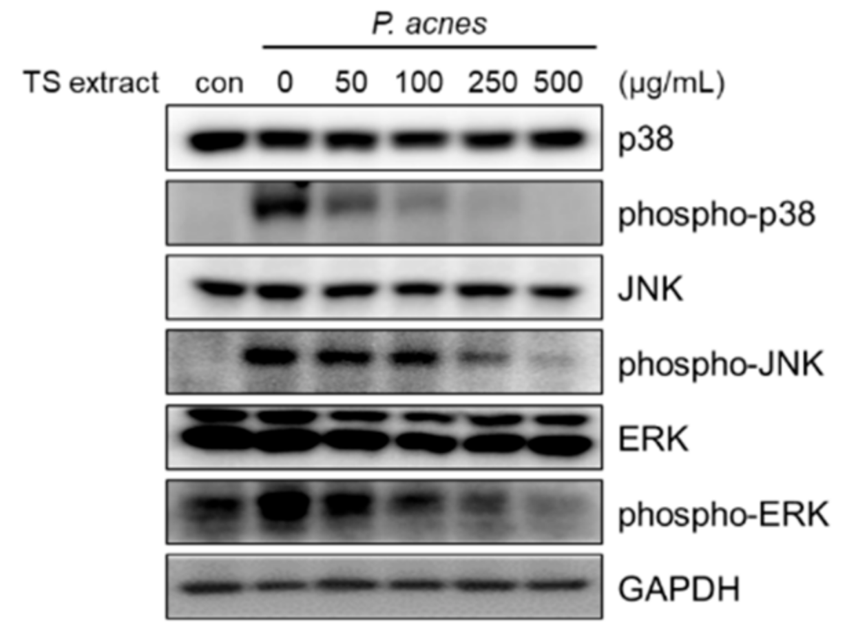 Plants 09 01701 g006