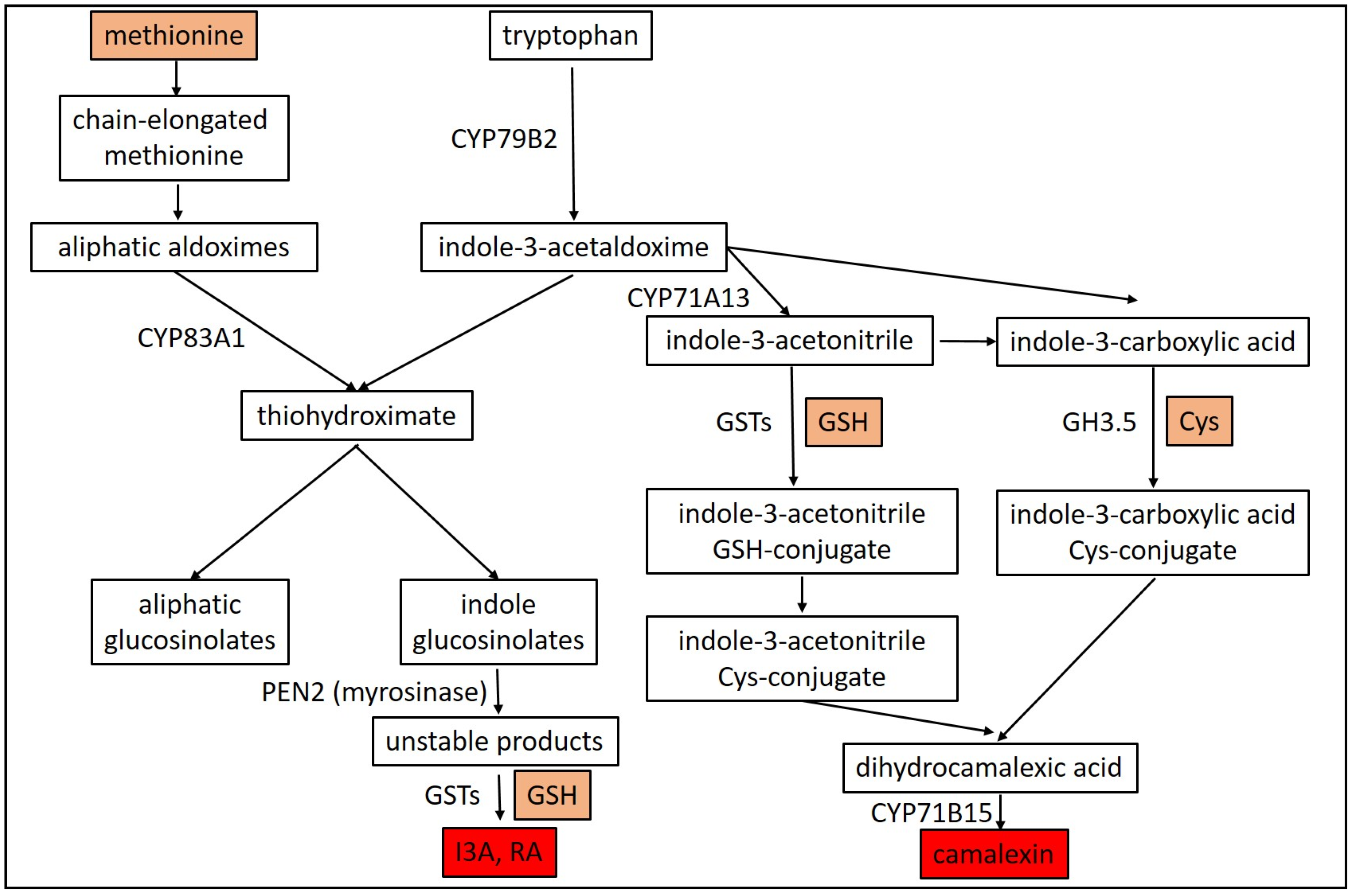 Plants 09 01705 g004 Plants 09 01705 g004