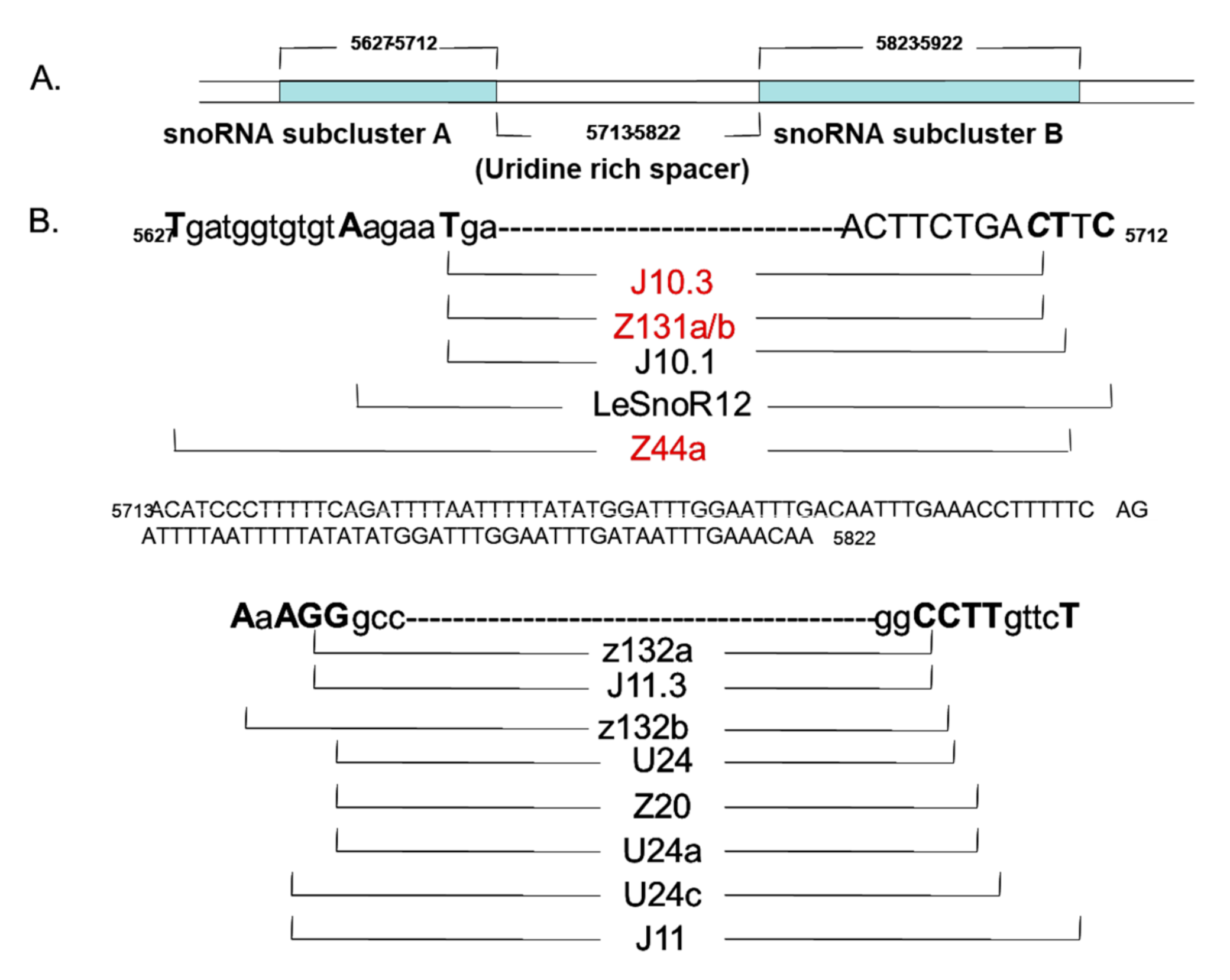 Plants 09 01710 g002 Plants 09 01710 g002