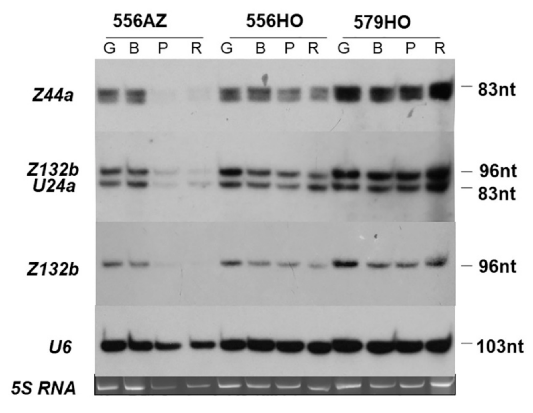 Plants 09 01710 g003 Plants 09 01710 g003