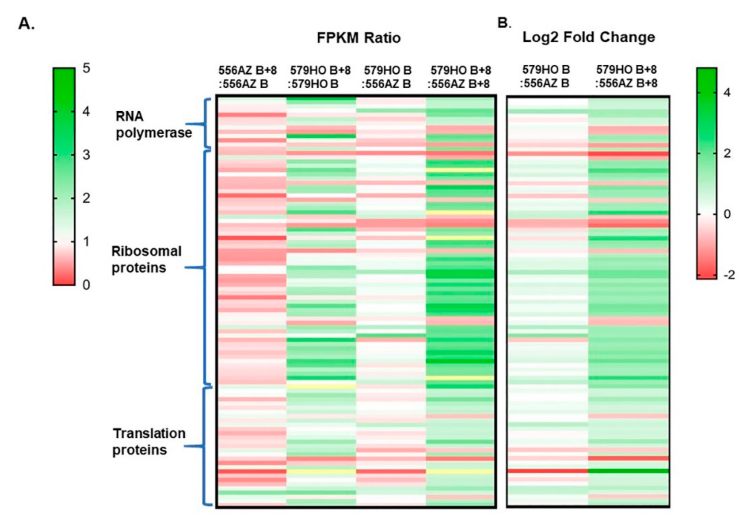 Plants 09 01710 g005 Plants 09 01710 g005