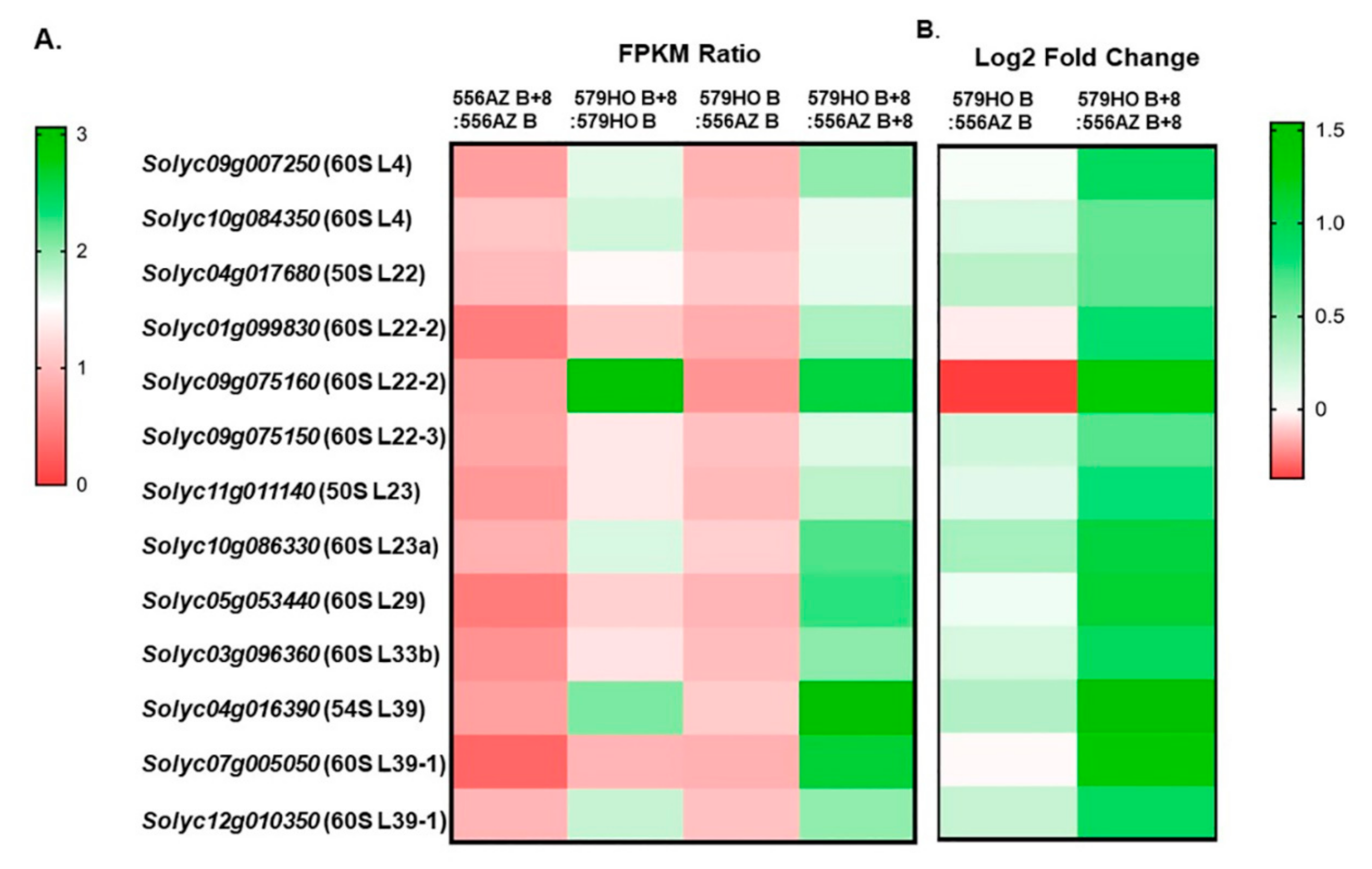 Plants 09 01710 g006 Plants 09 01710 g006