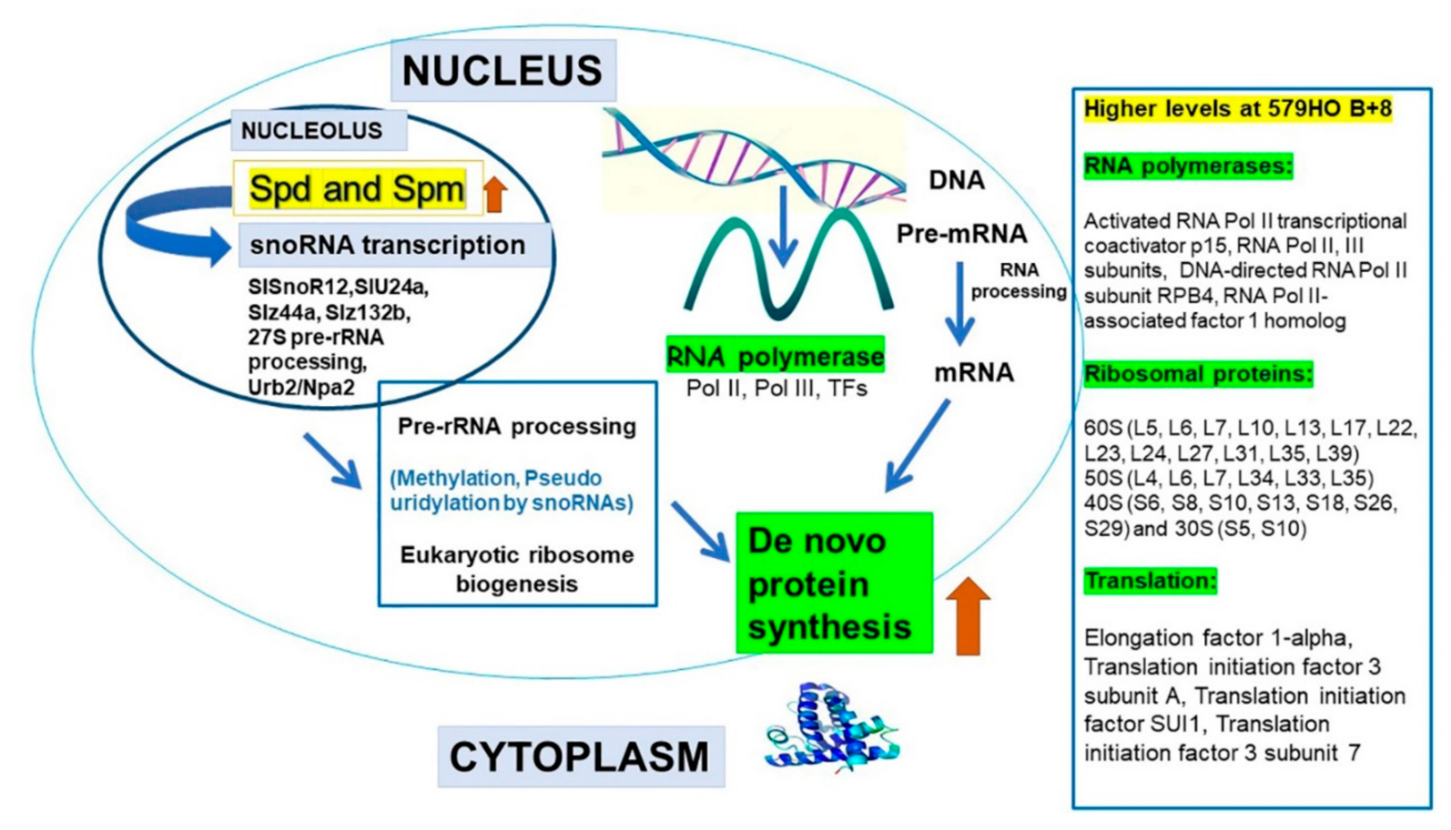 Plants 09 01710 g007 Plants 09 01710 g007