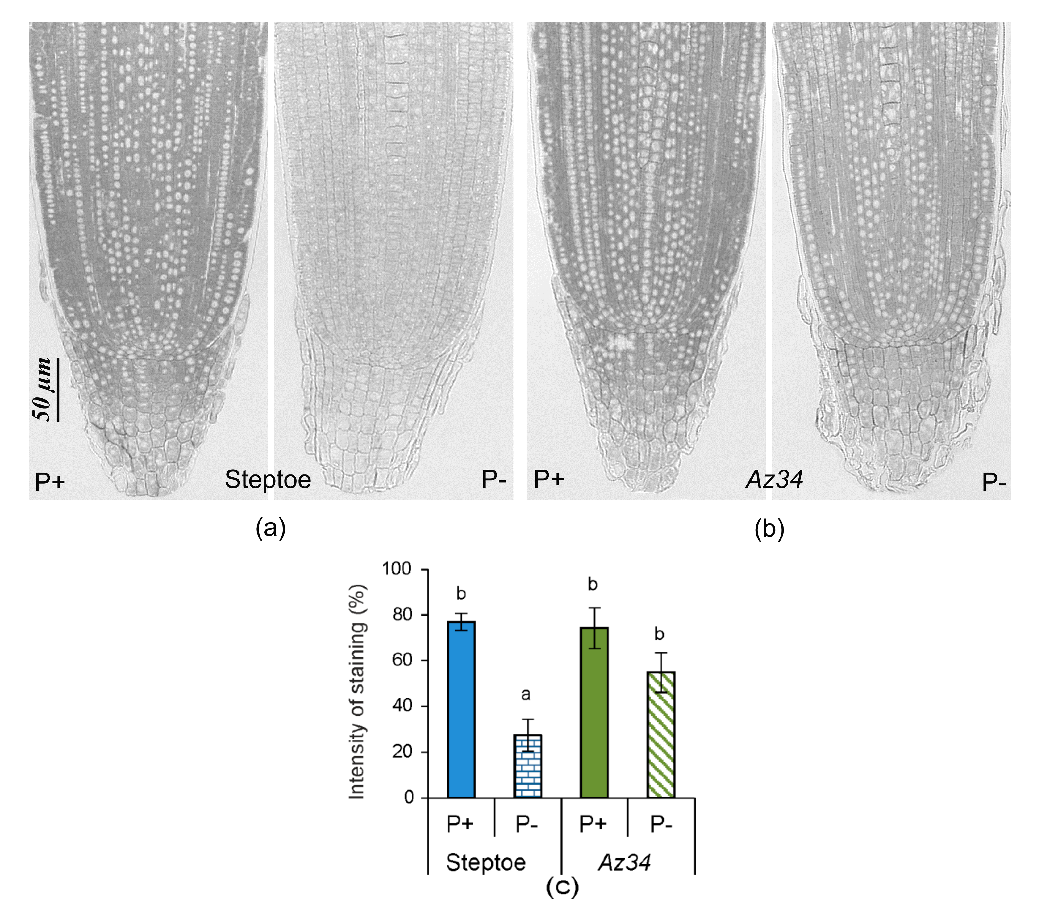 Plants 09 01722 g009 Plants 09 01722 g009