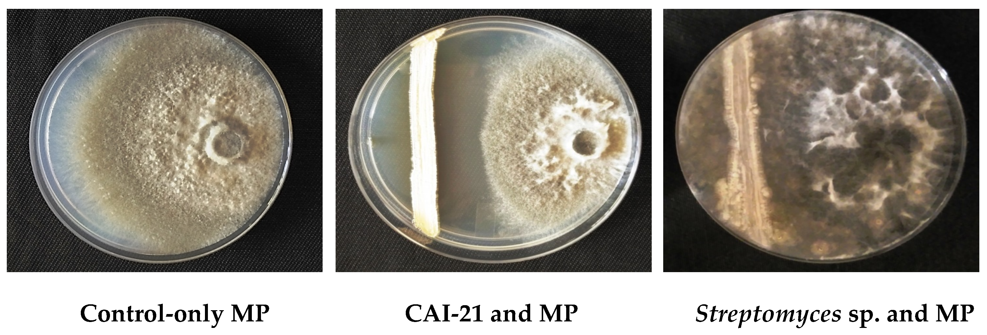 Plants 09 01727 g001