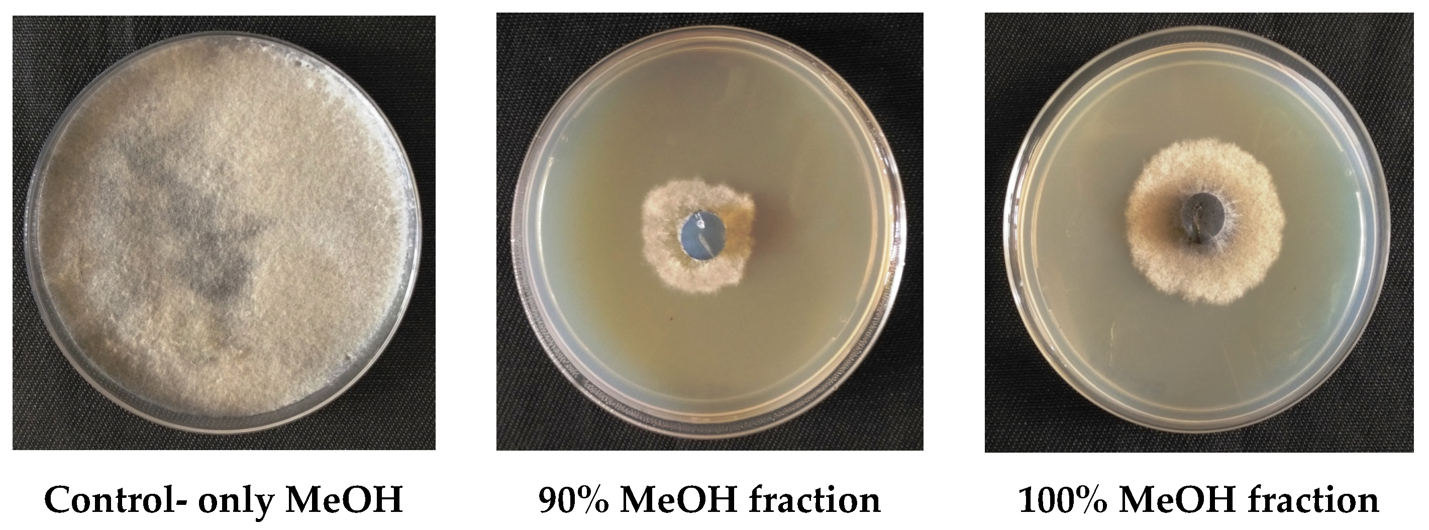 Plants 09 01727 g006