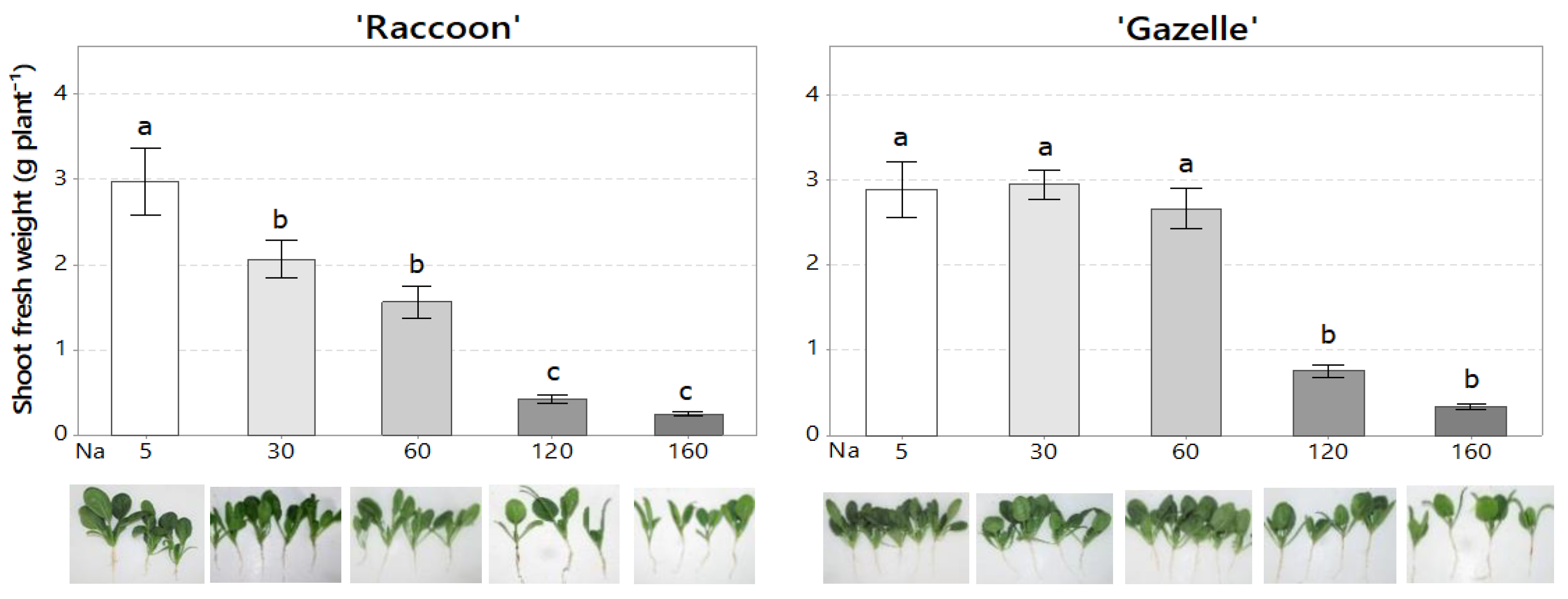 Plants 09 01739 g002 Plants 09 01739 g002