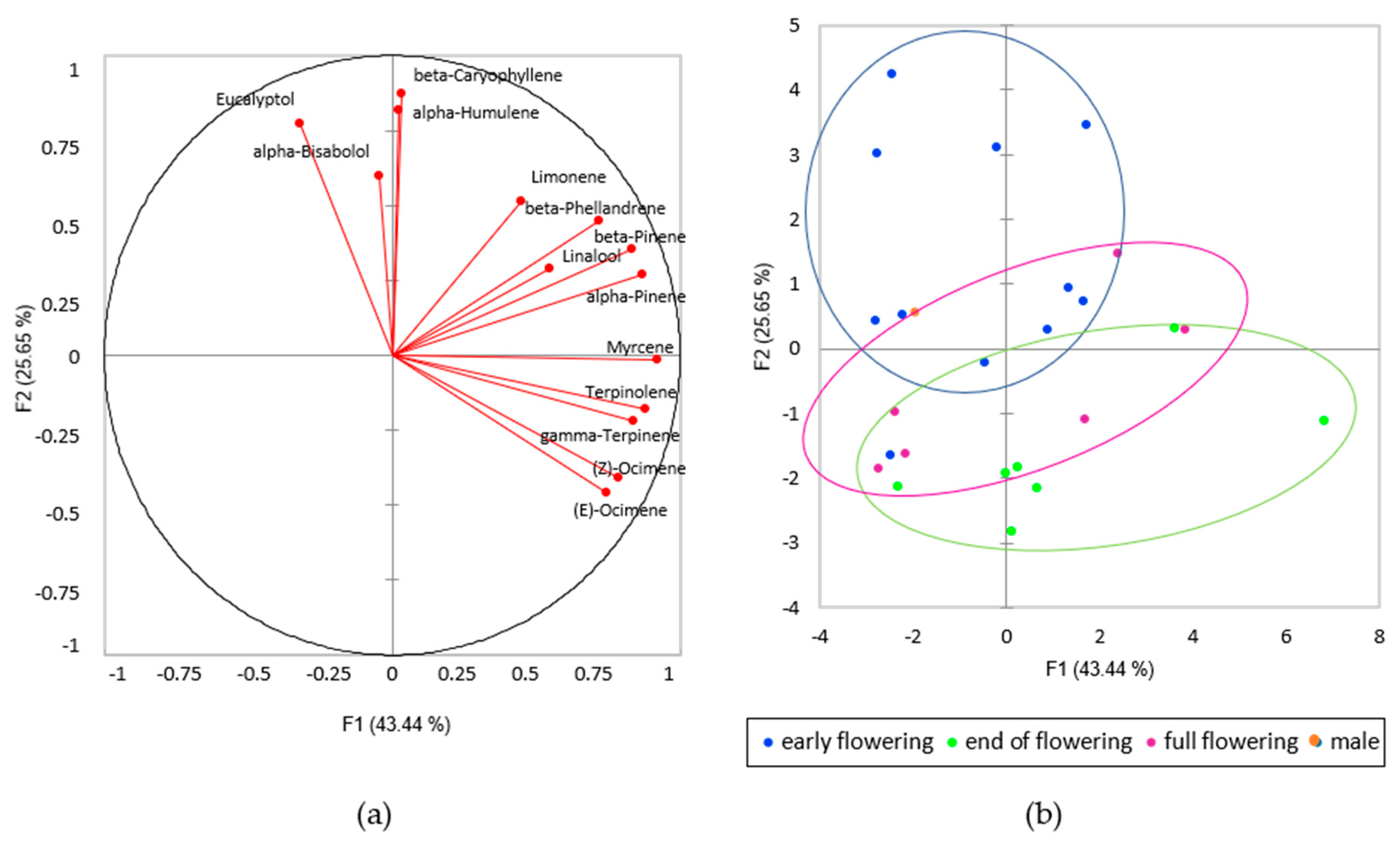 Plants 09 01740 g004