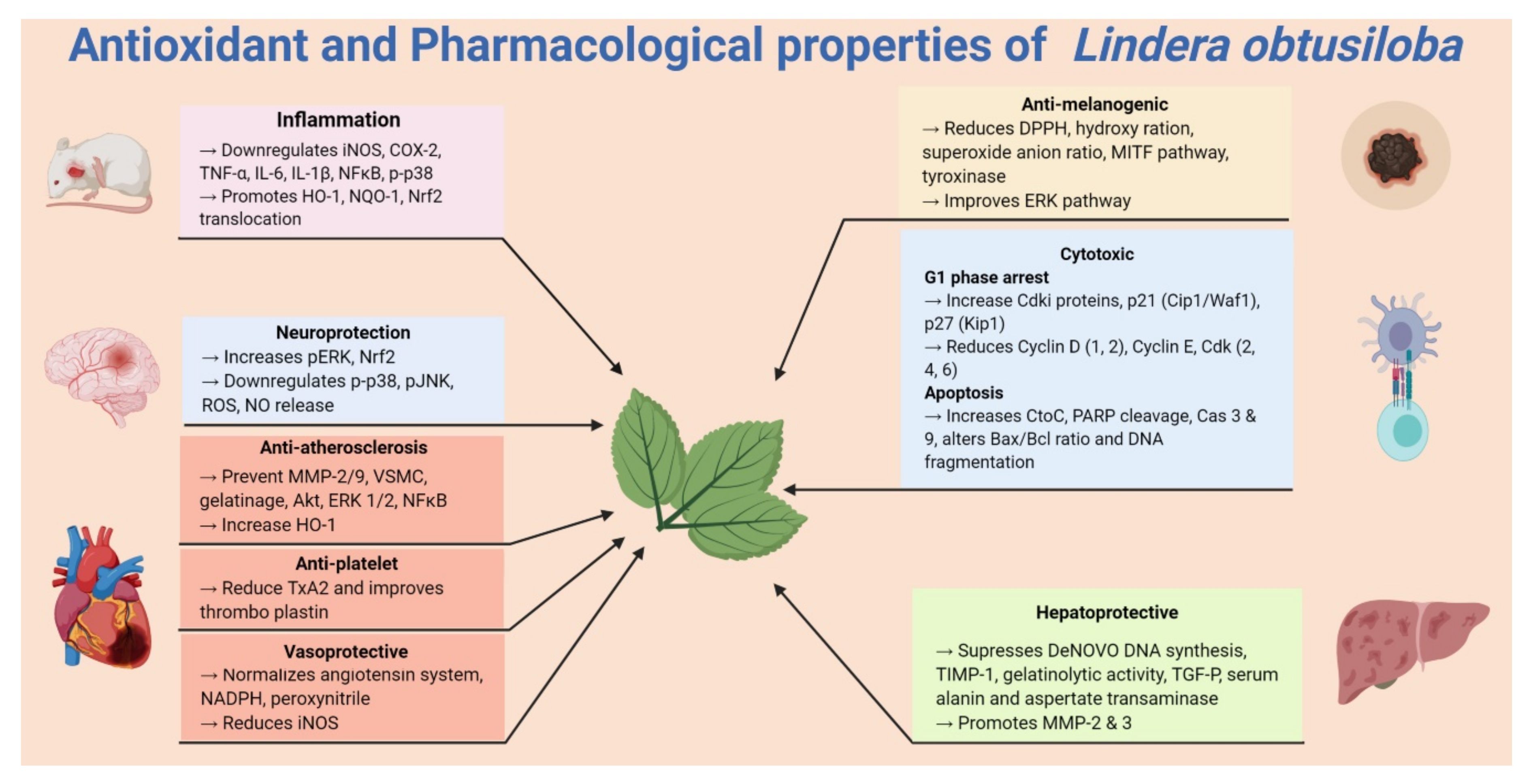 Plants 09 01765 g002